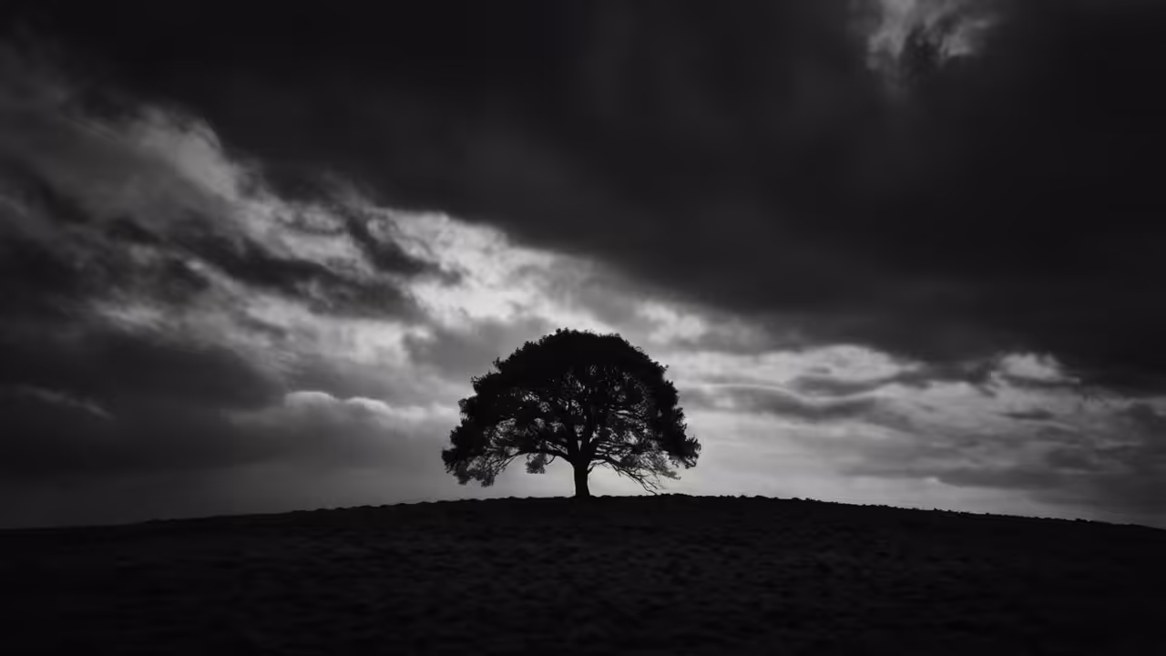 Standing in the Darkness  