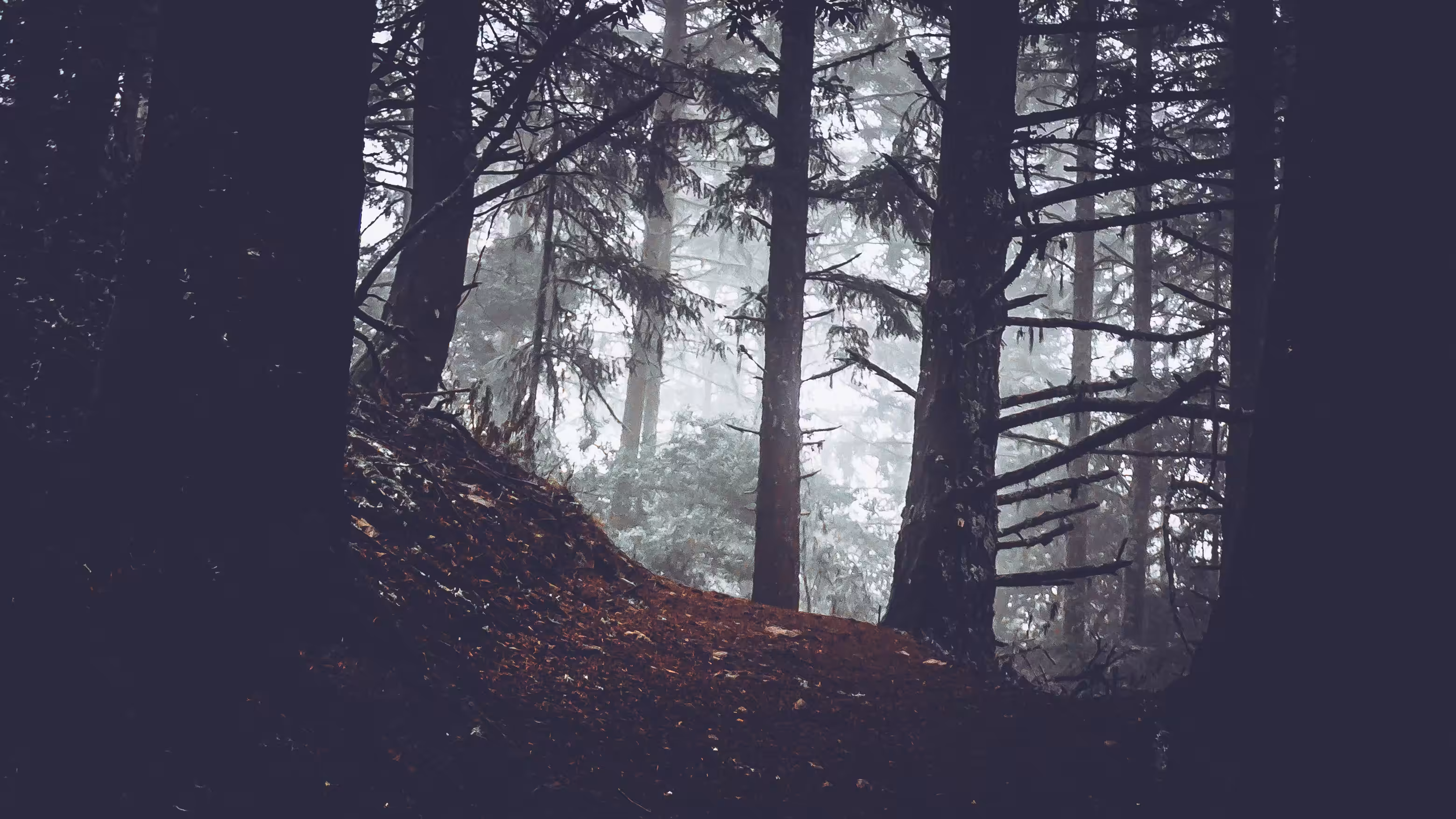 Silence