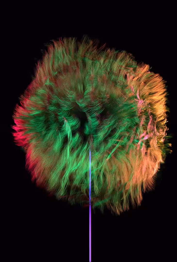 Dandelion Dance #4