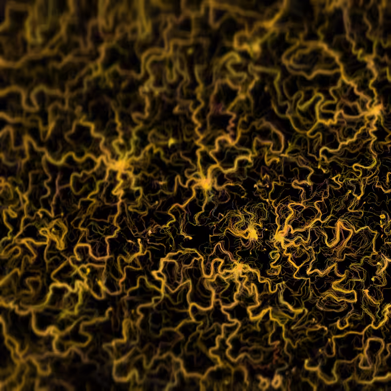 Field Sketch #14
