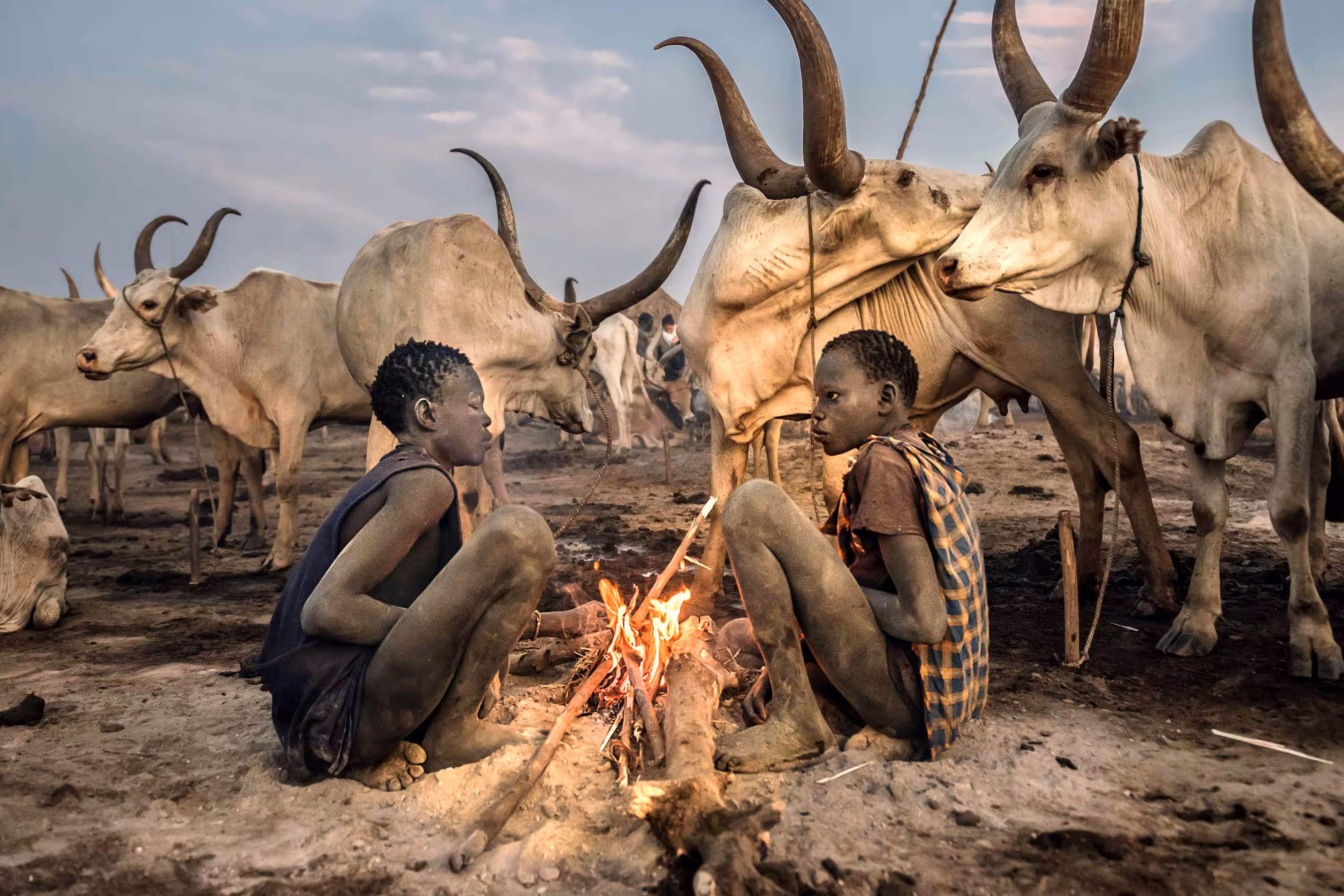 Life in the Cattle Camp #16
