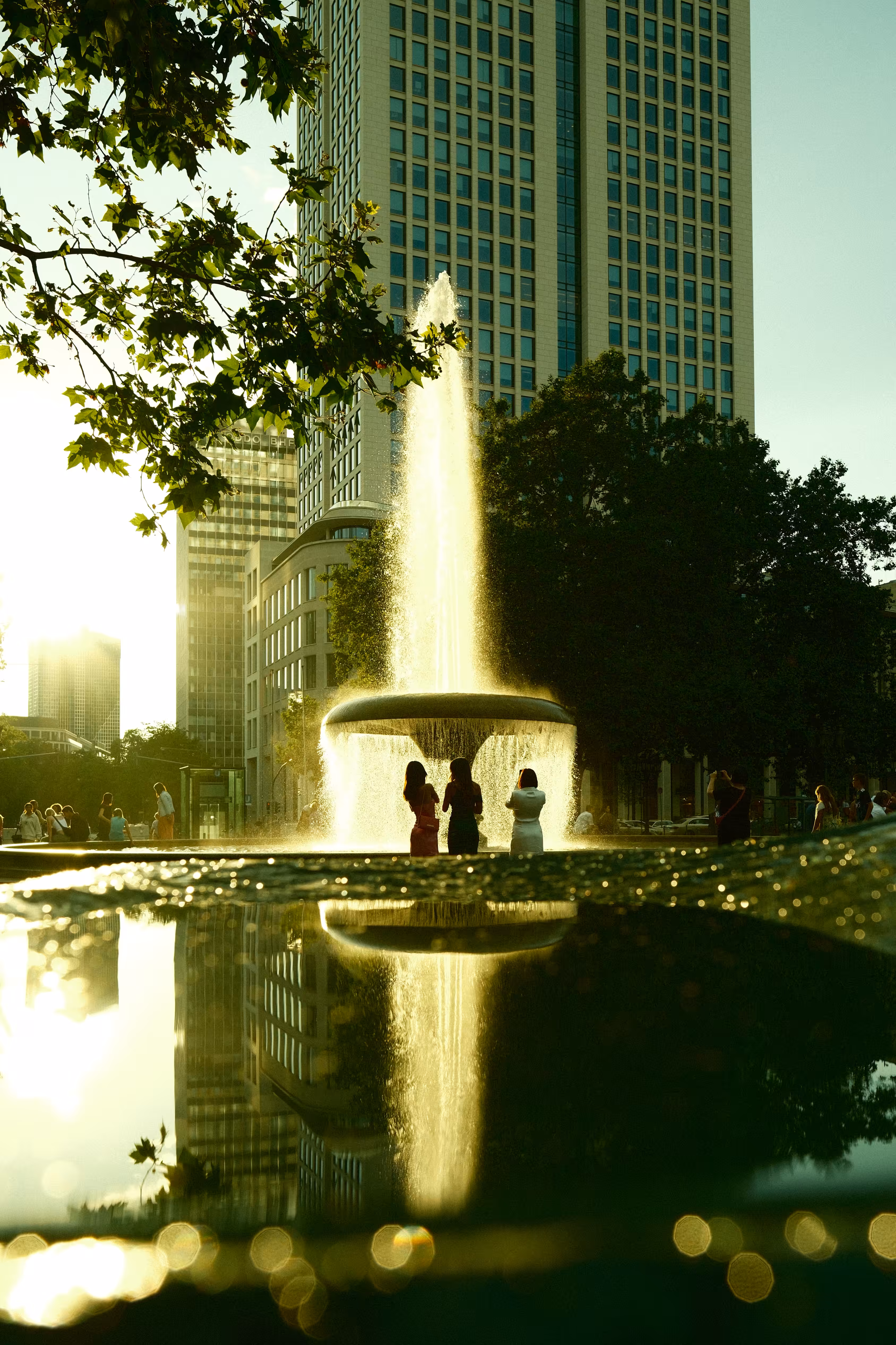 A summer evening in the city 