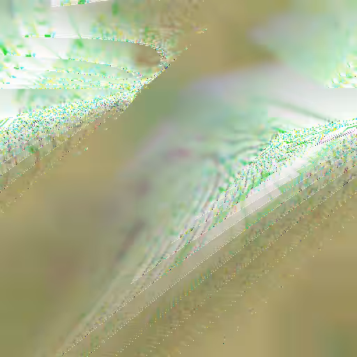 Superalternation #6