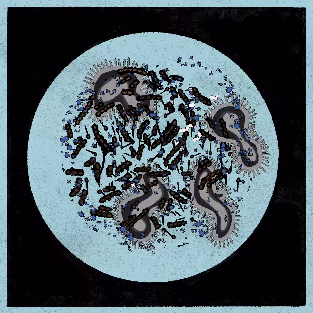 Microbes #12