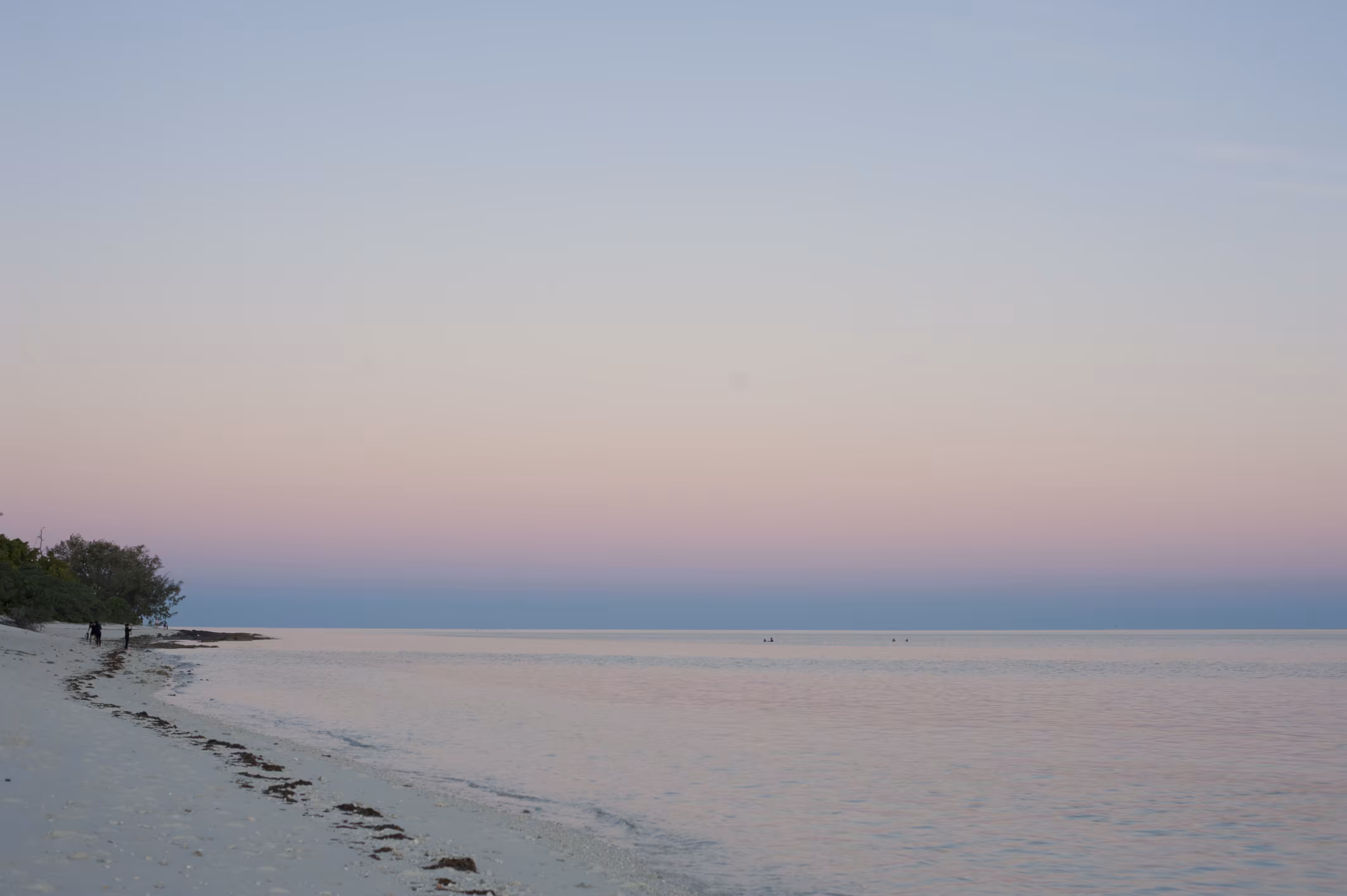 Day214 Wasanbon Sugar Sunset