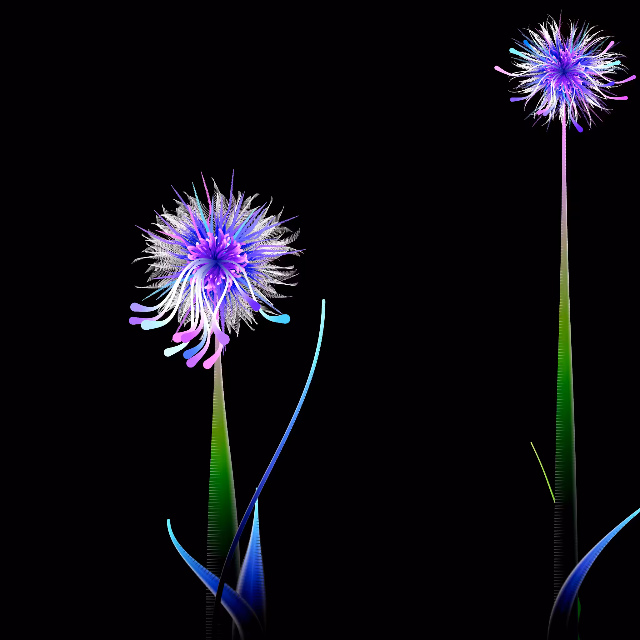 Milena’s Flowers #44