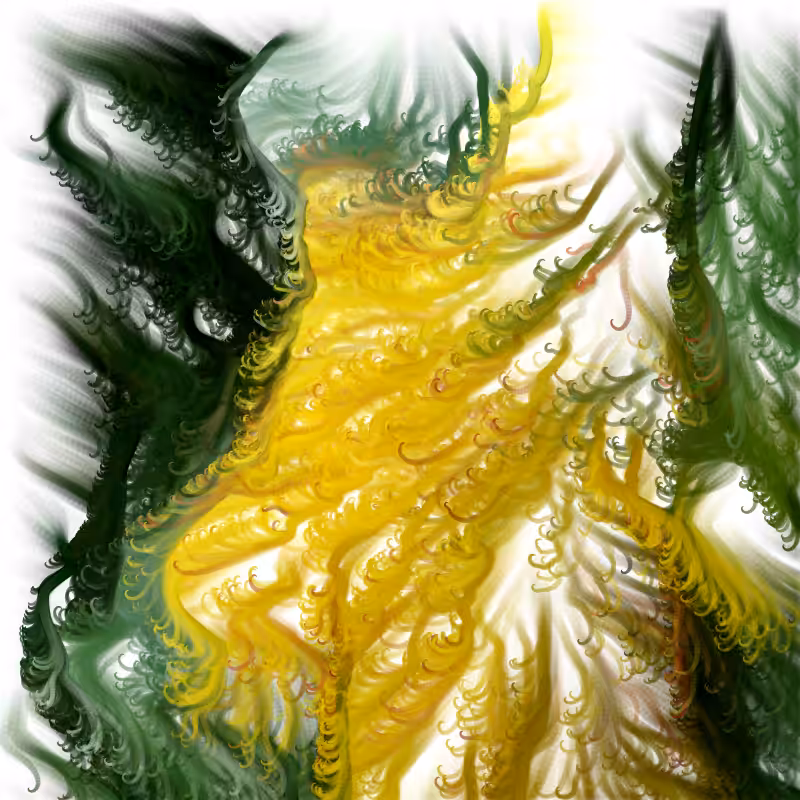 Hypericum #21