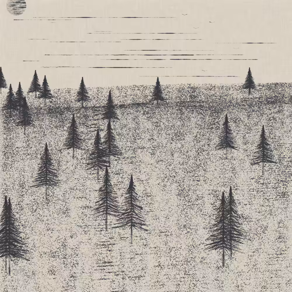 Pine Dream #47