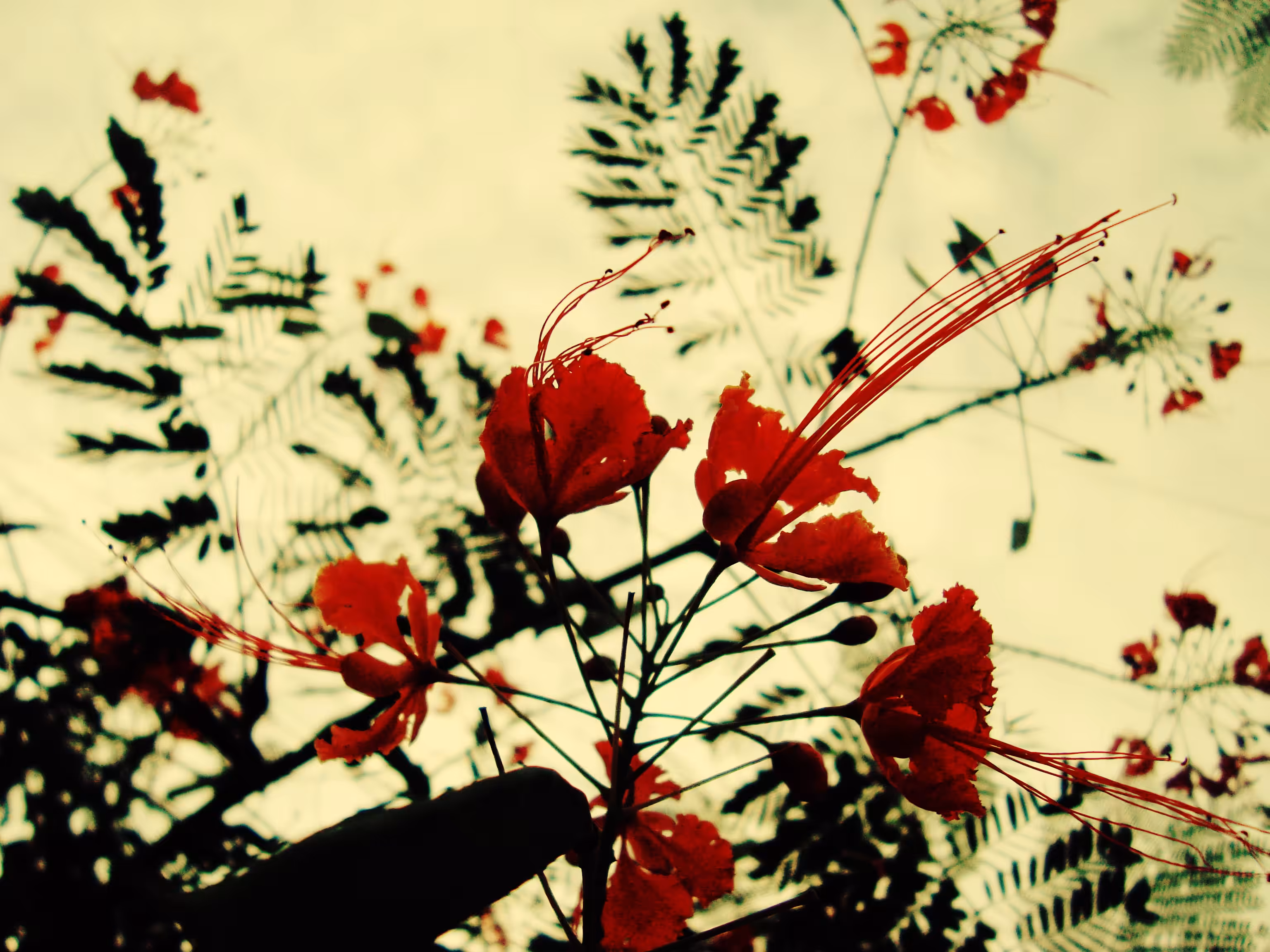 Look up
