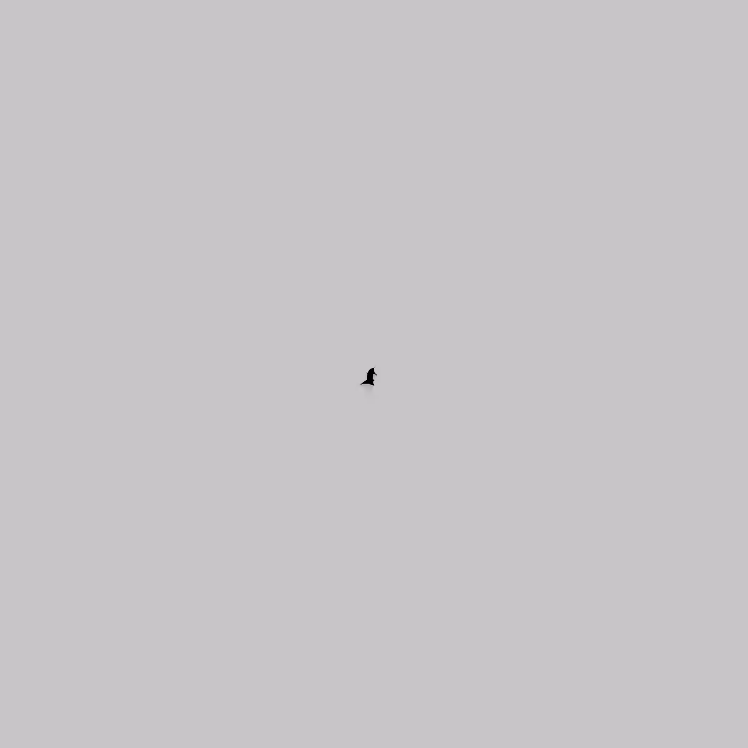 Black Growth 4