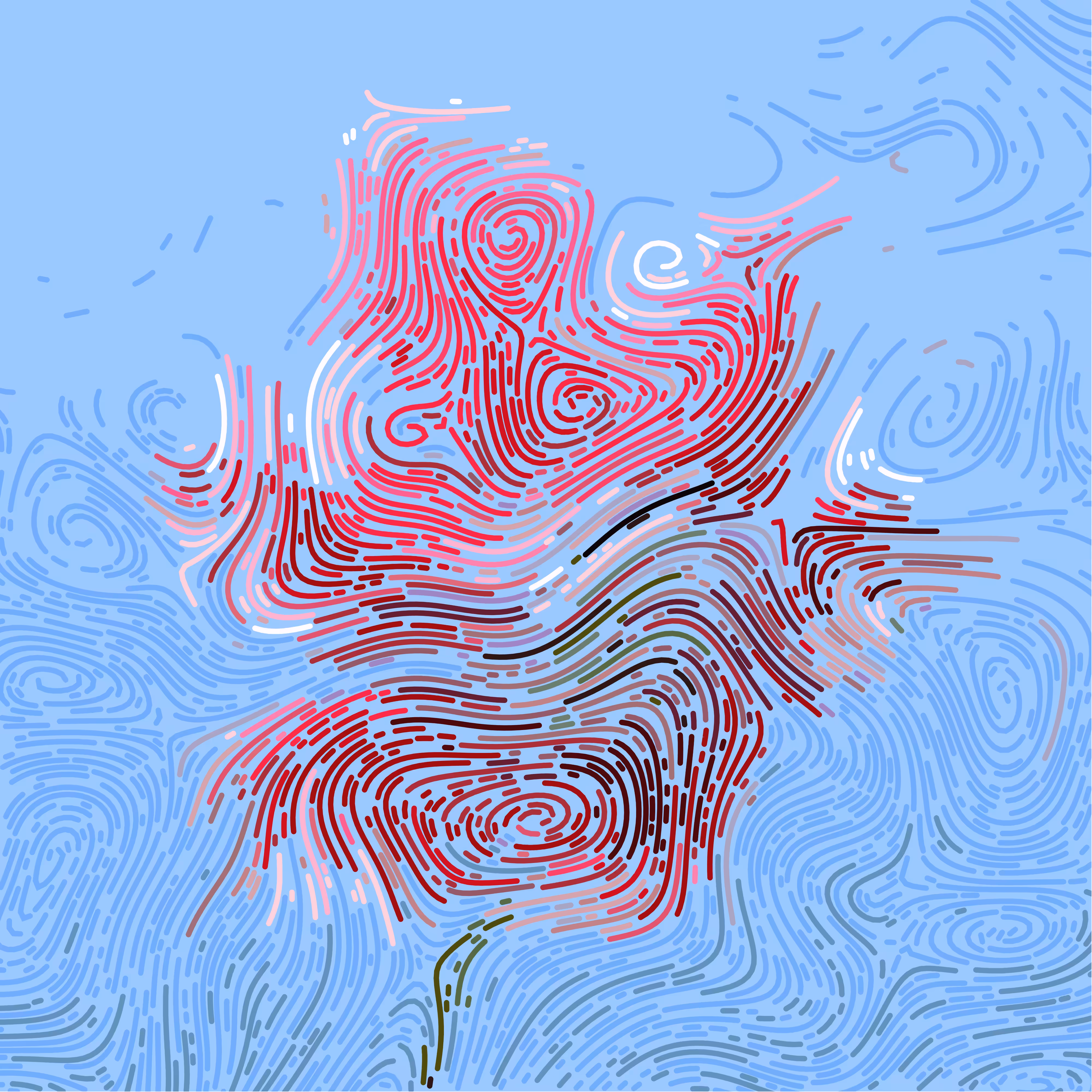 curl.tullip