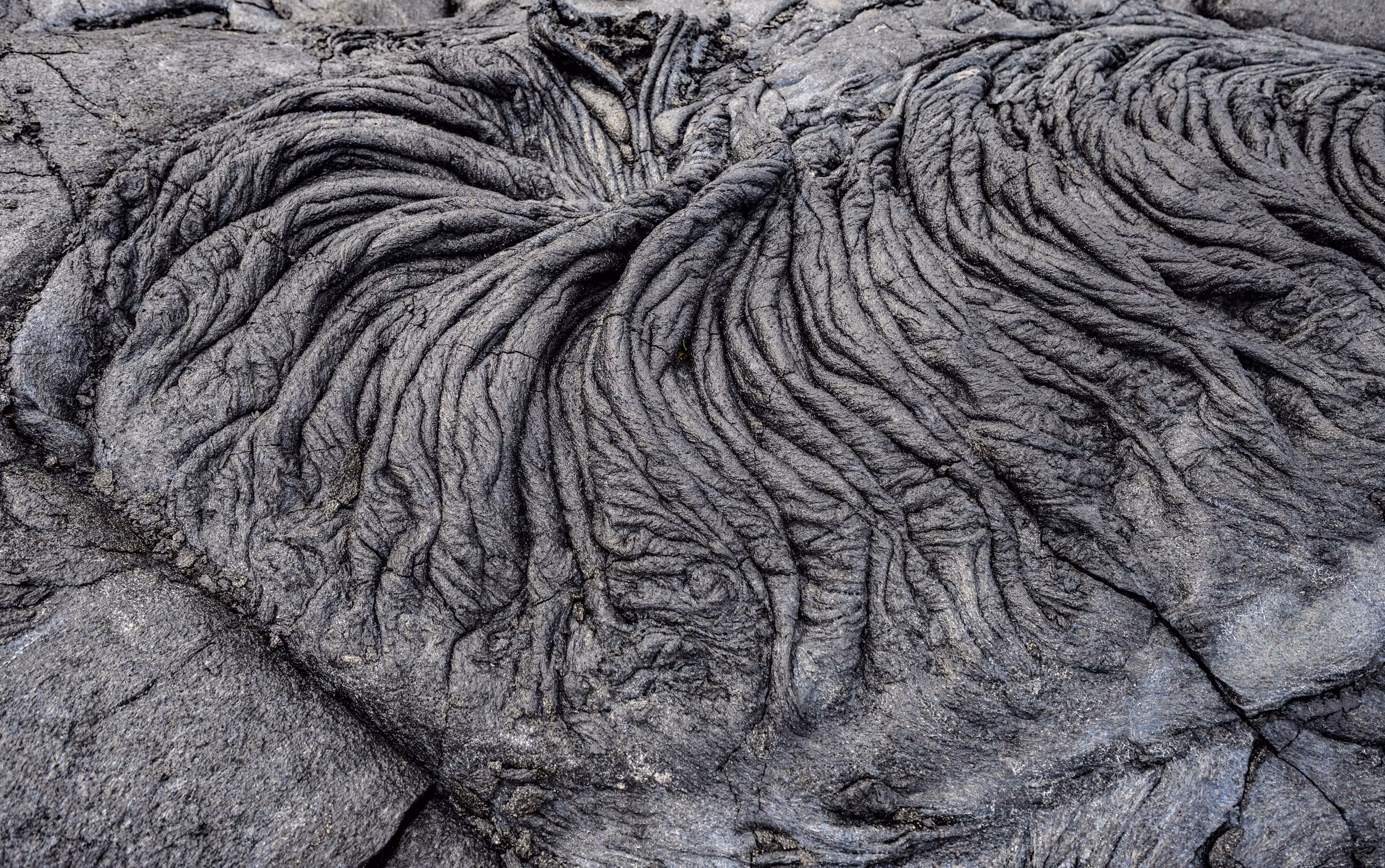 Earth Texture 
