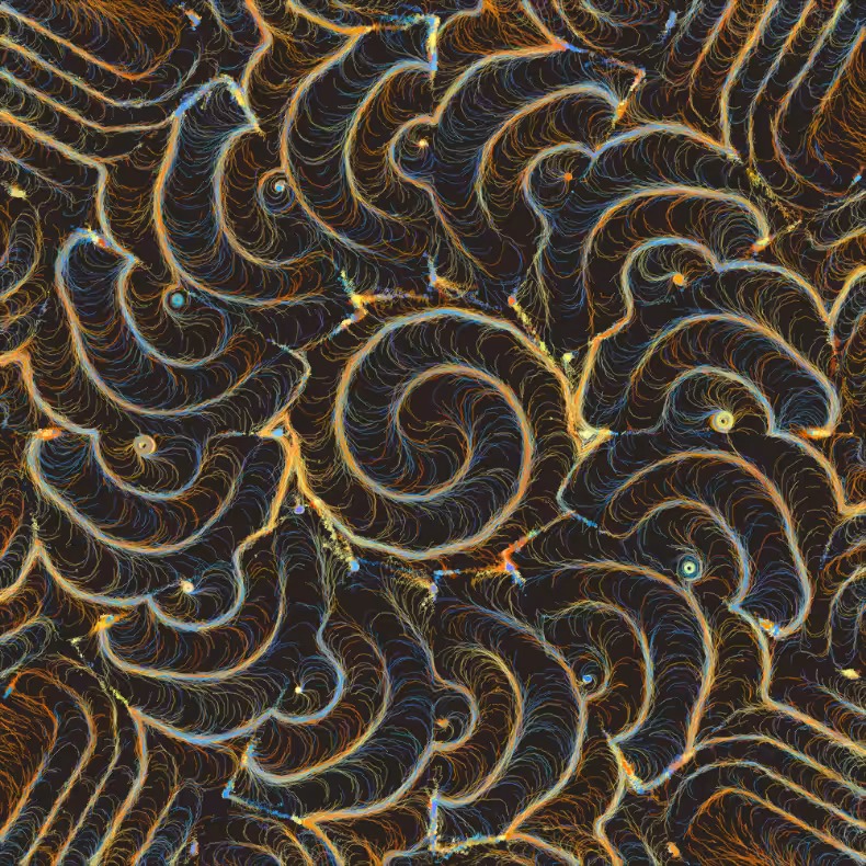 Field Sketch #151