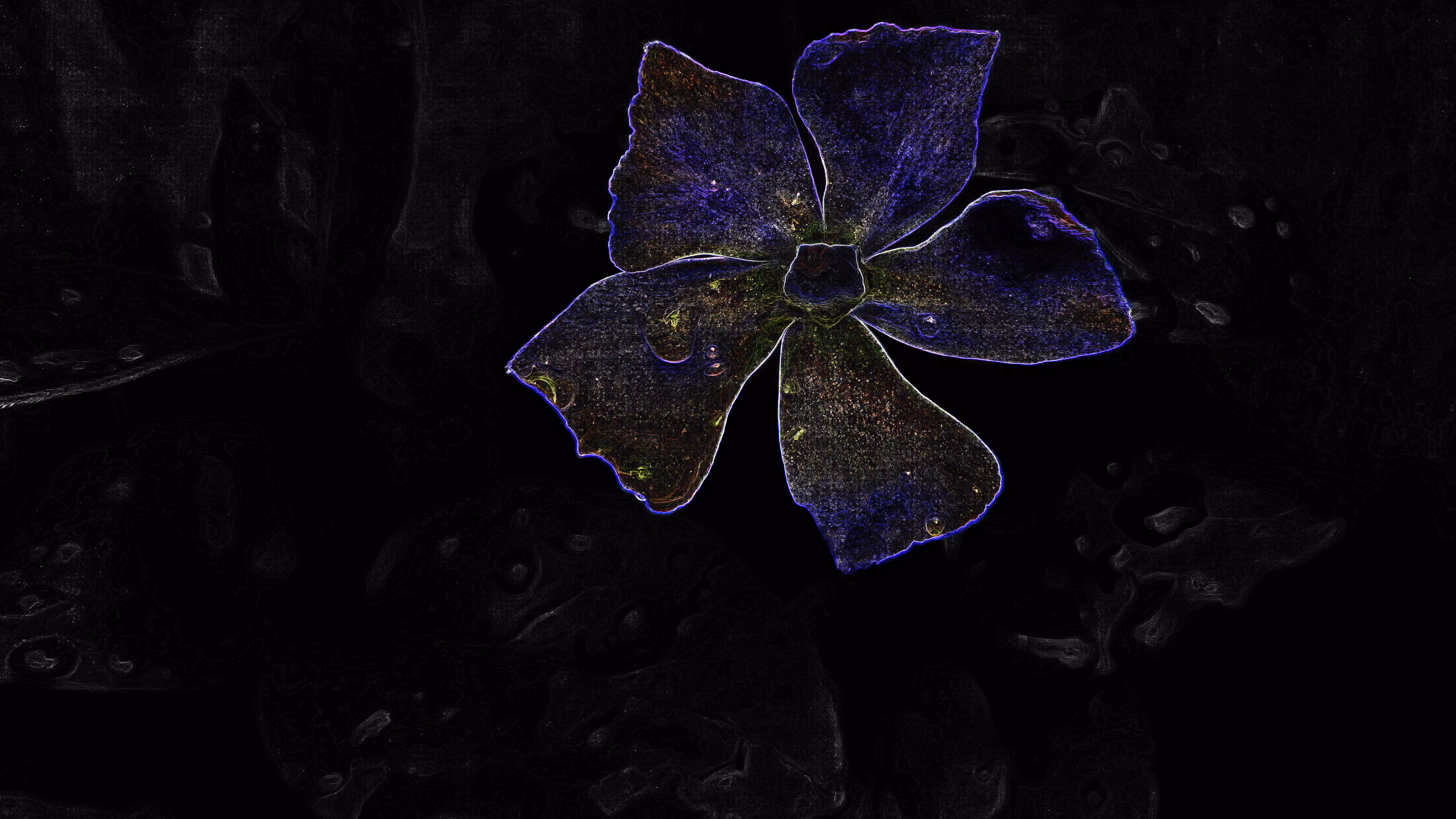Electric Bloom