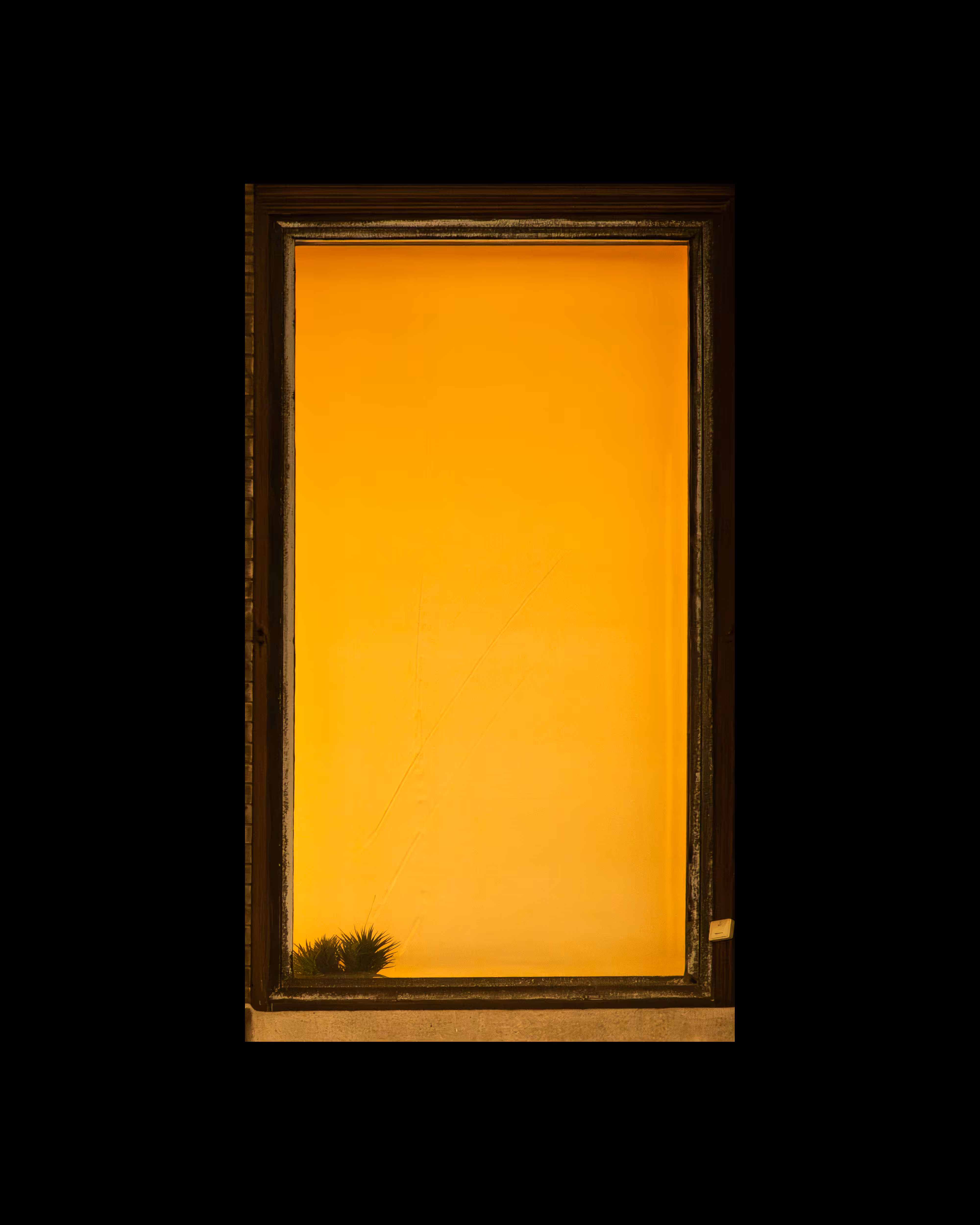 WINDOWS // NYC: WINDOW 359