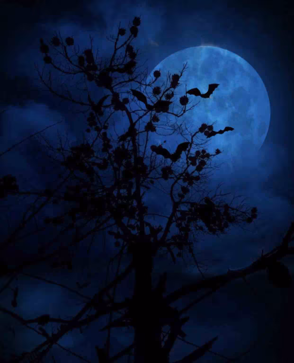Horror night