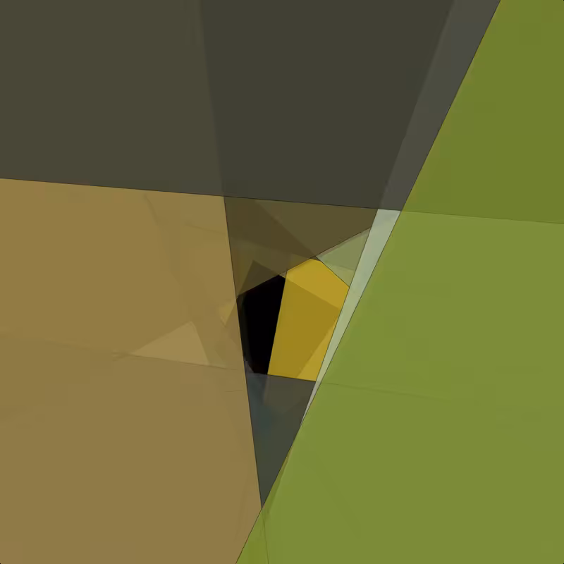Inside the Shape #3