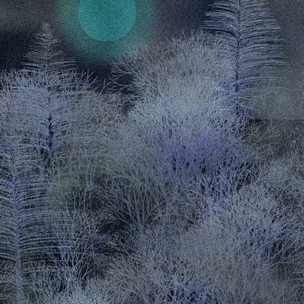 Moonlit Native Bush #78