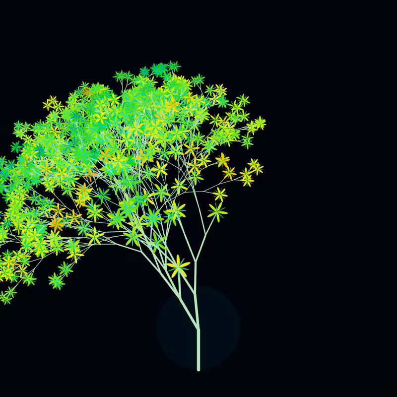 Arboreta #1