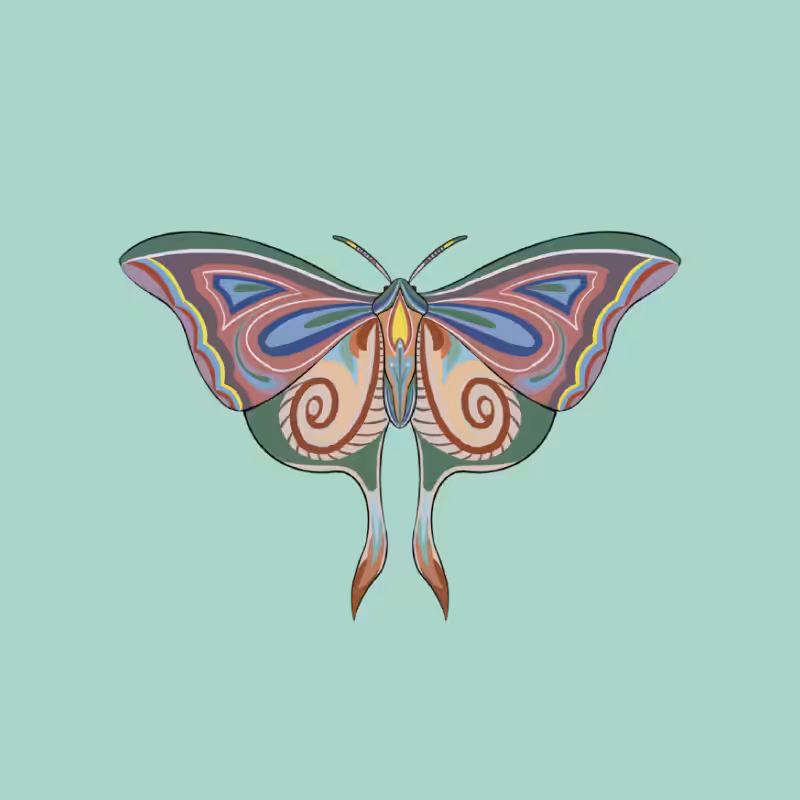 The Moth Experiment 2.0 P1 #16