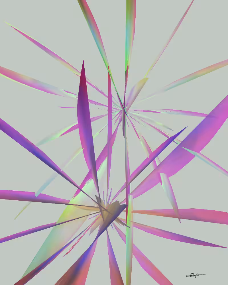 InBloom #13