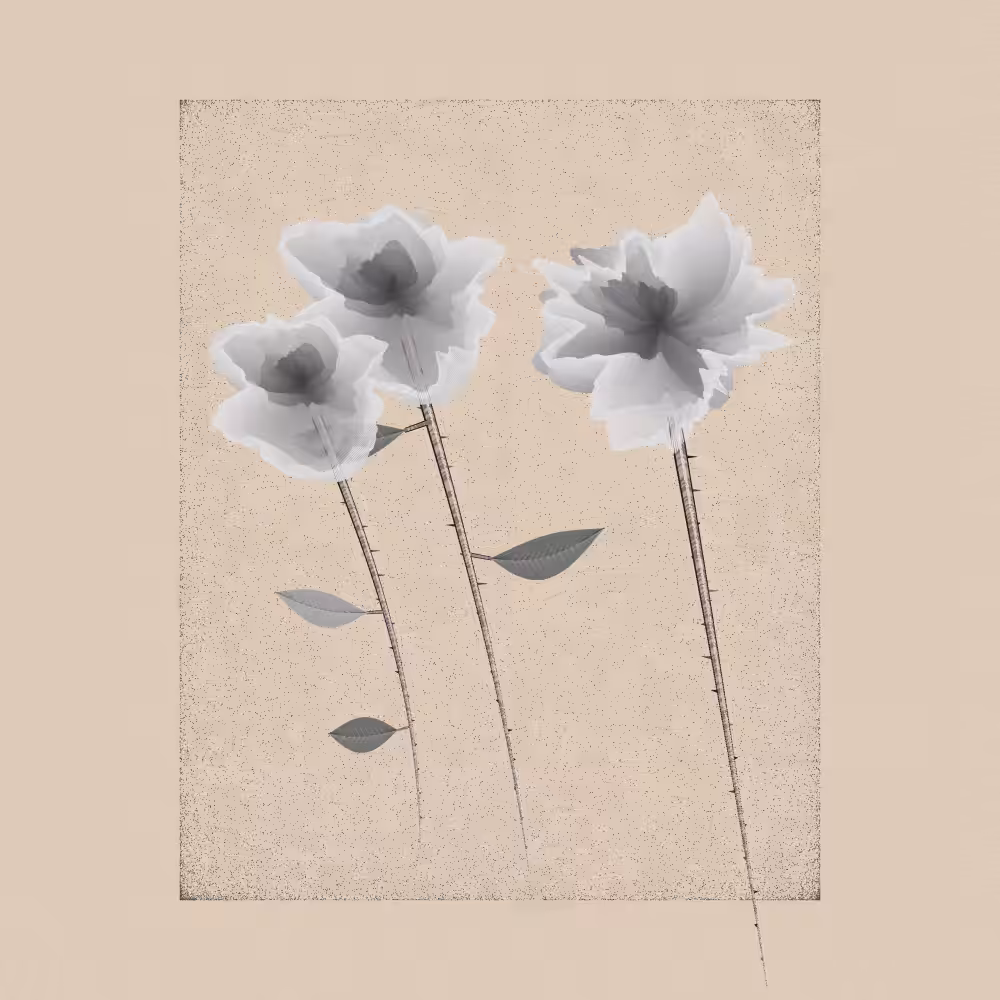 Magnolia #12
