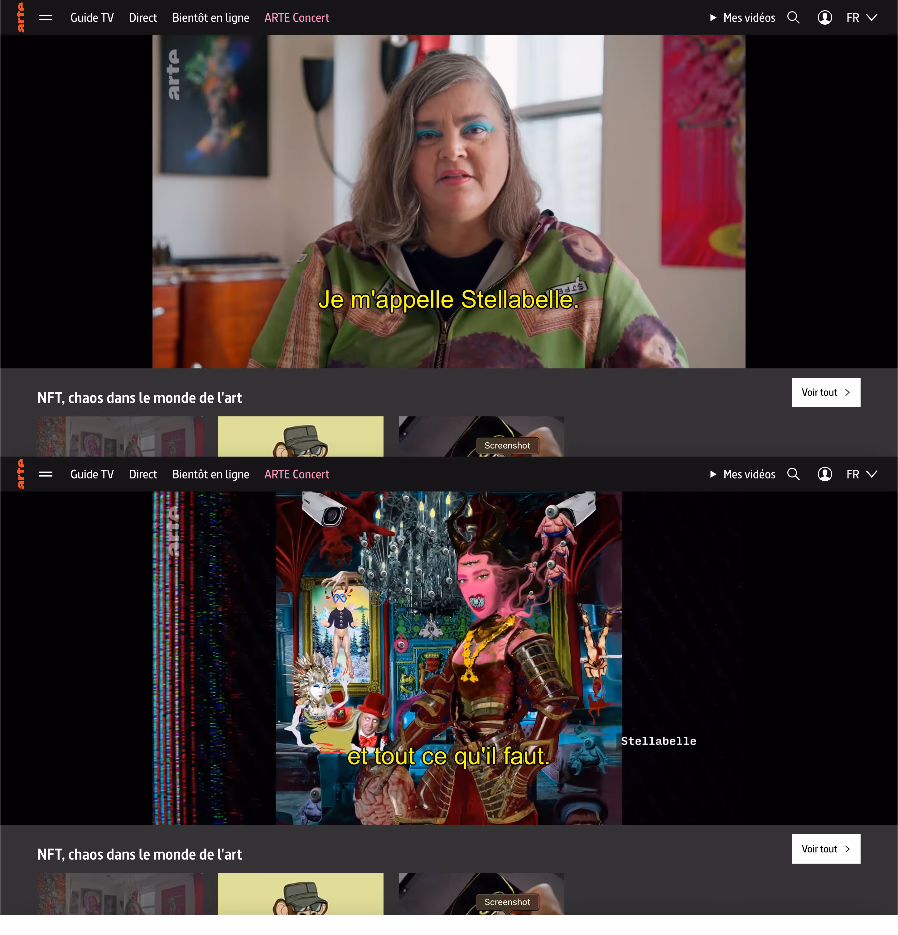 Stellabelle Featured in ARTE: NFT, chaos dans le monde de l'art