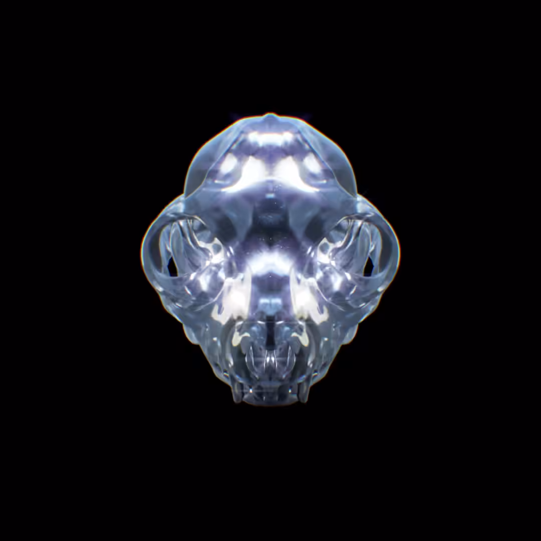Glass Skulls