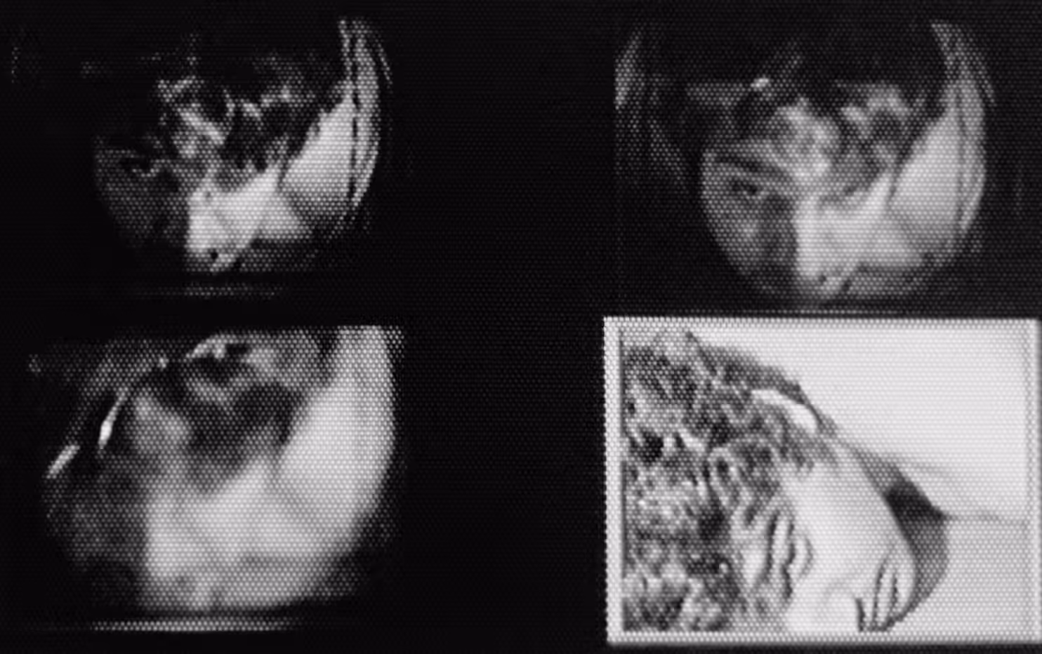 The Viewfinder