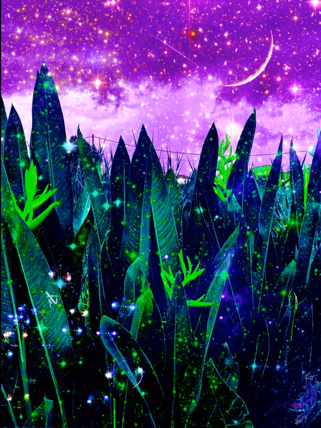 You can find Magic in the Field ✨