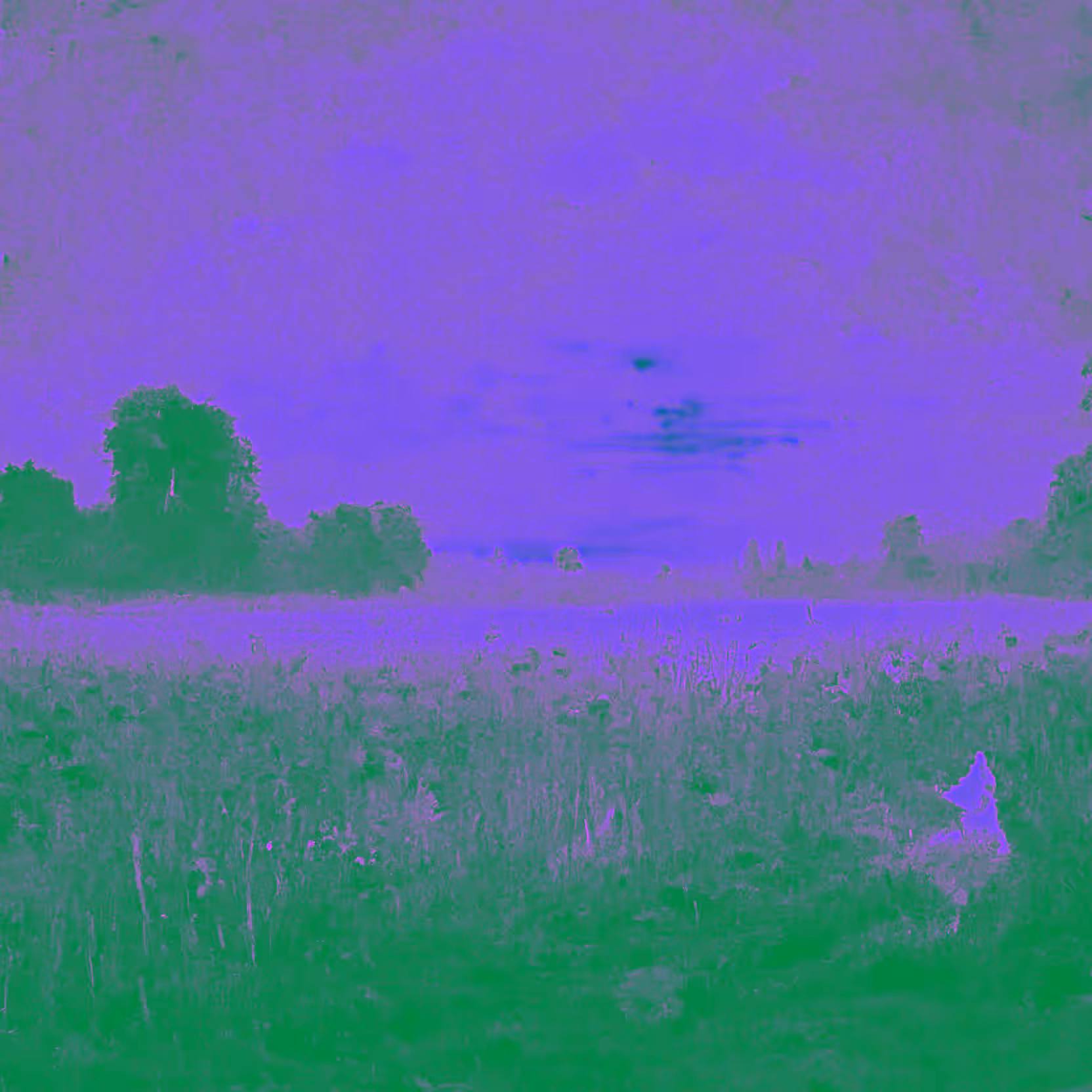 The quick purple fox jumps over the lazy dog