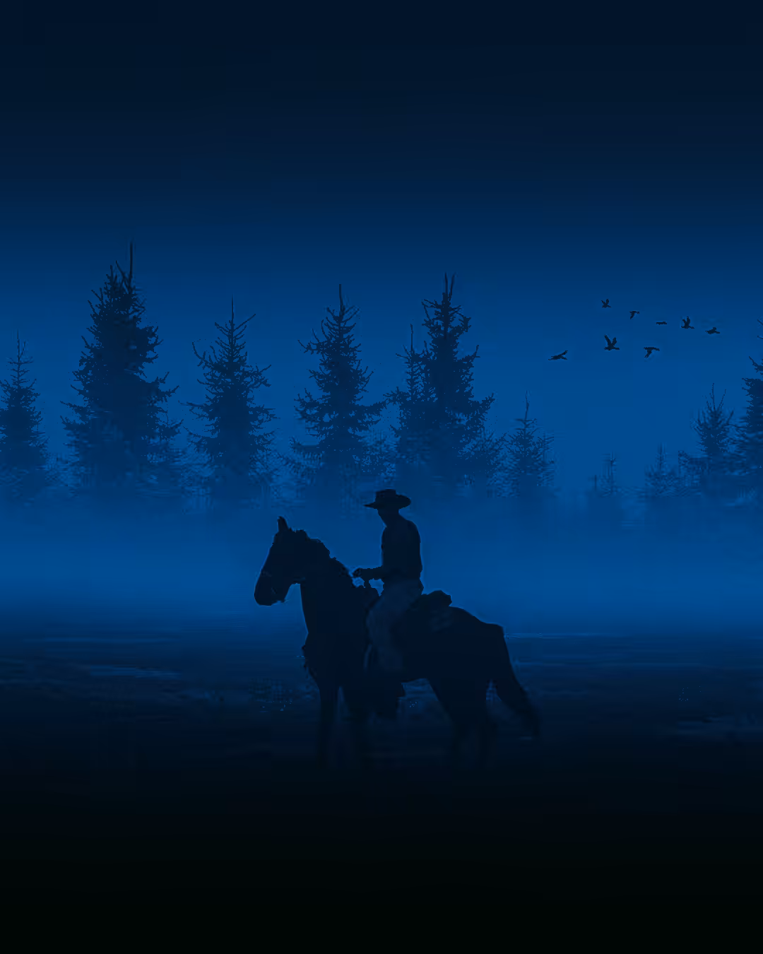 The horse rider