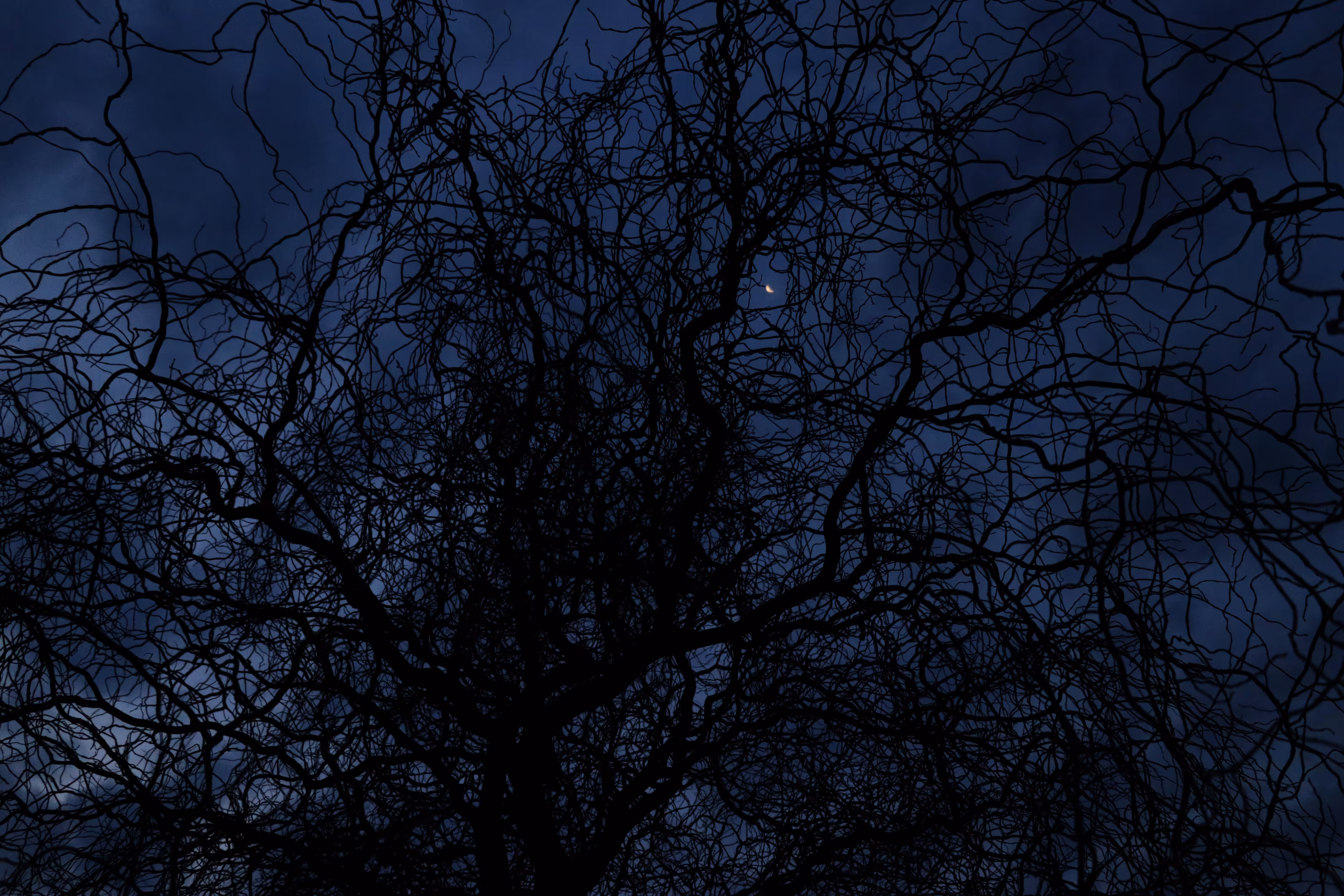 Moonheart