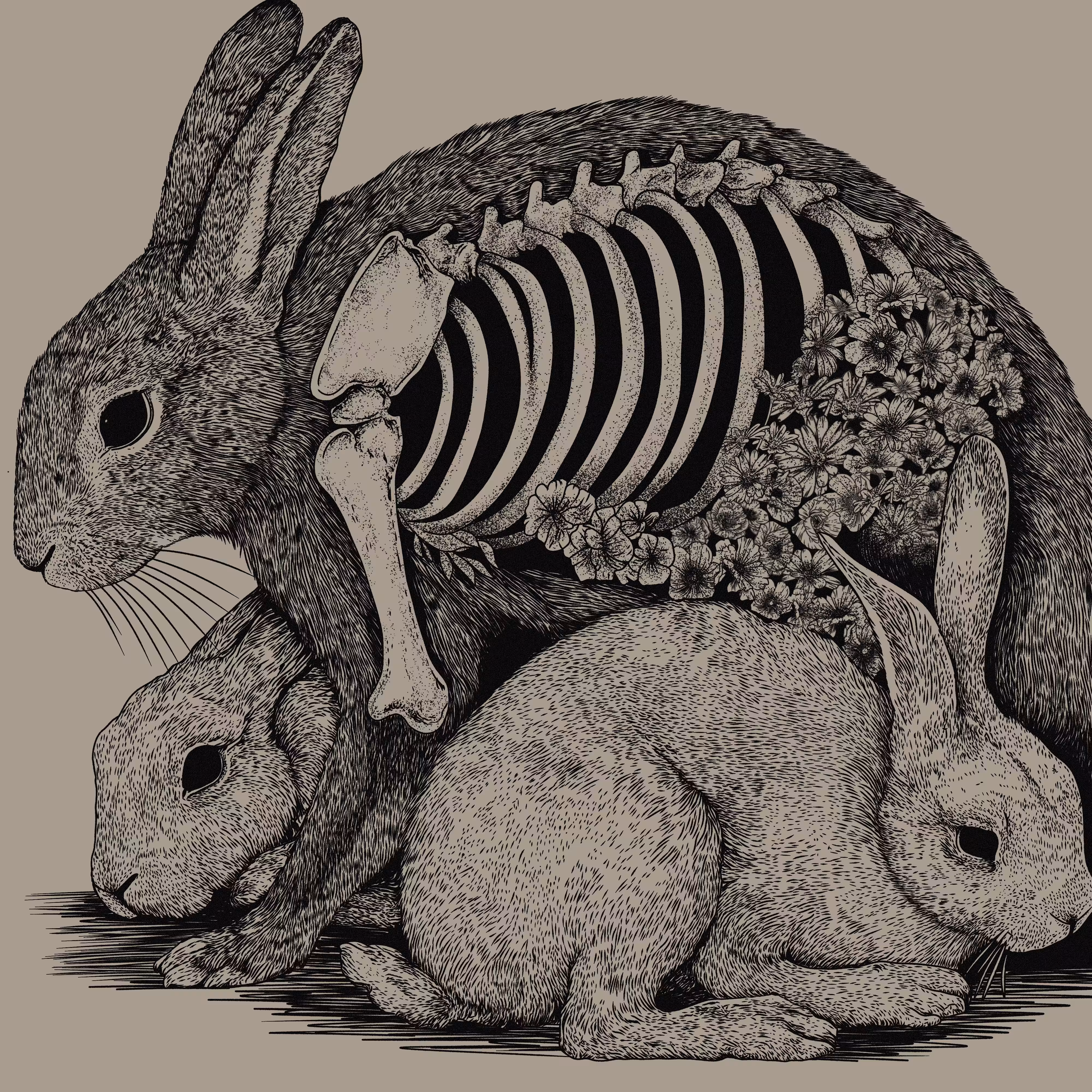 𝘮𝘰𝘪𝘳𝘢𝘴