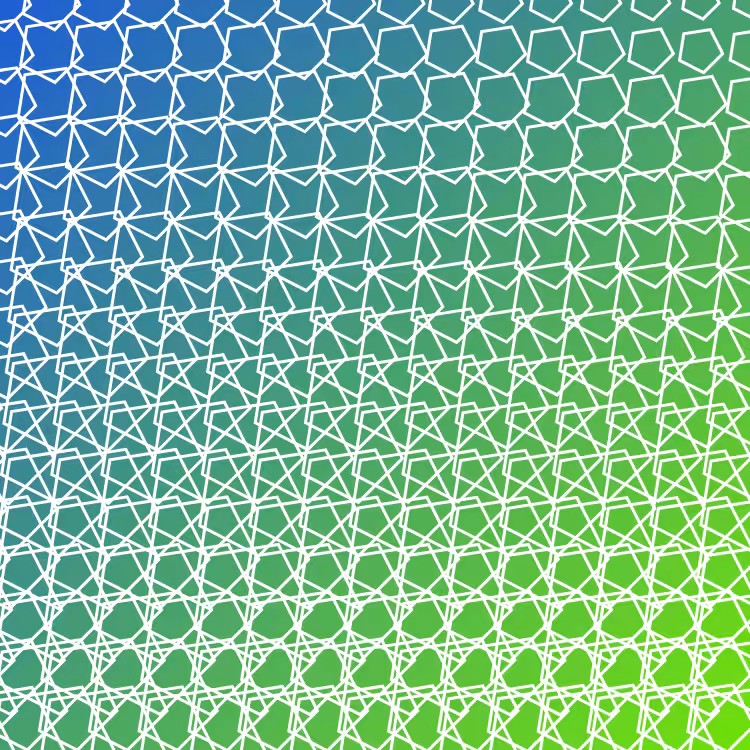 bilinearInterpolationTwist #19