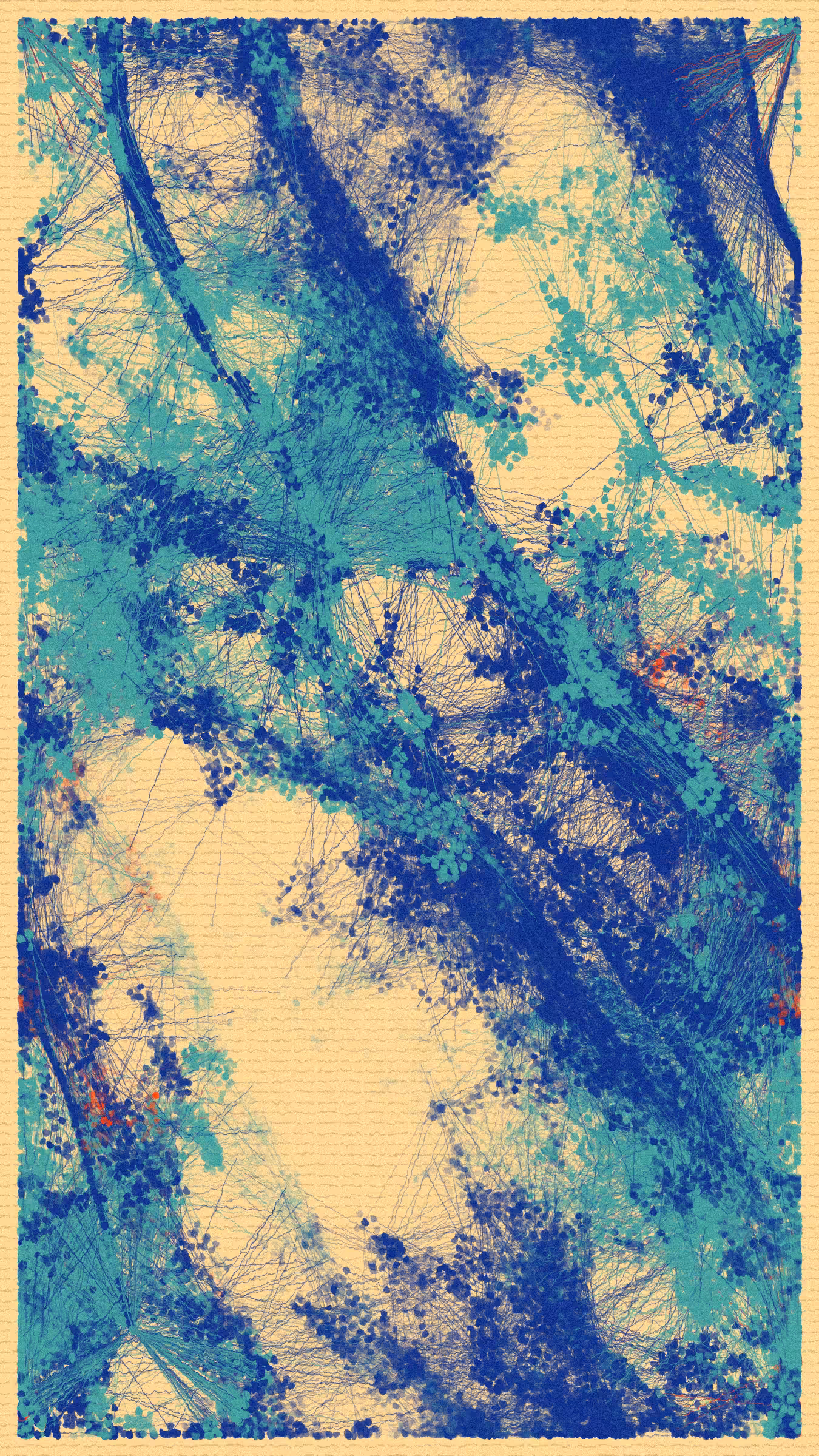 Sadok #117