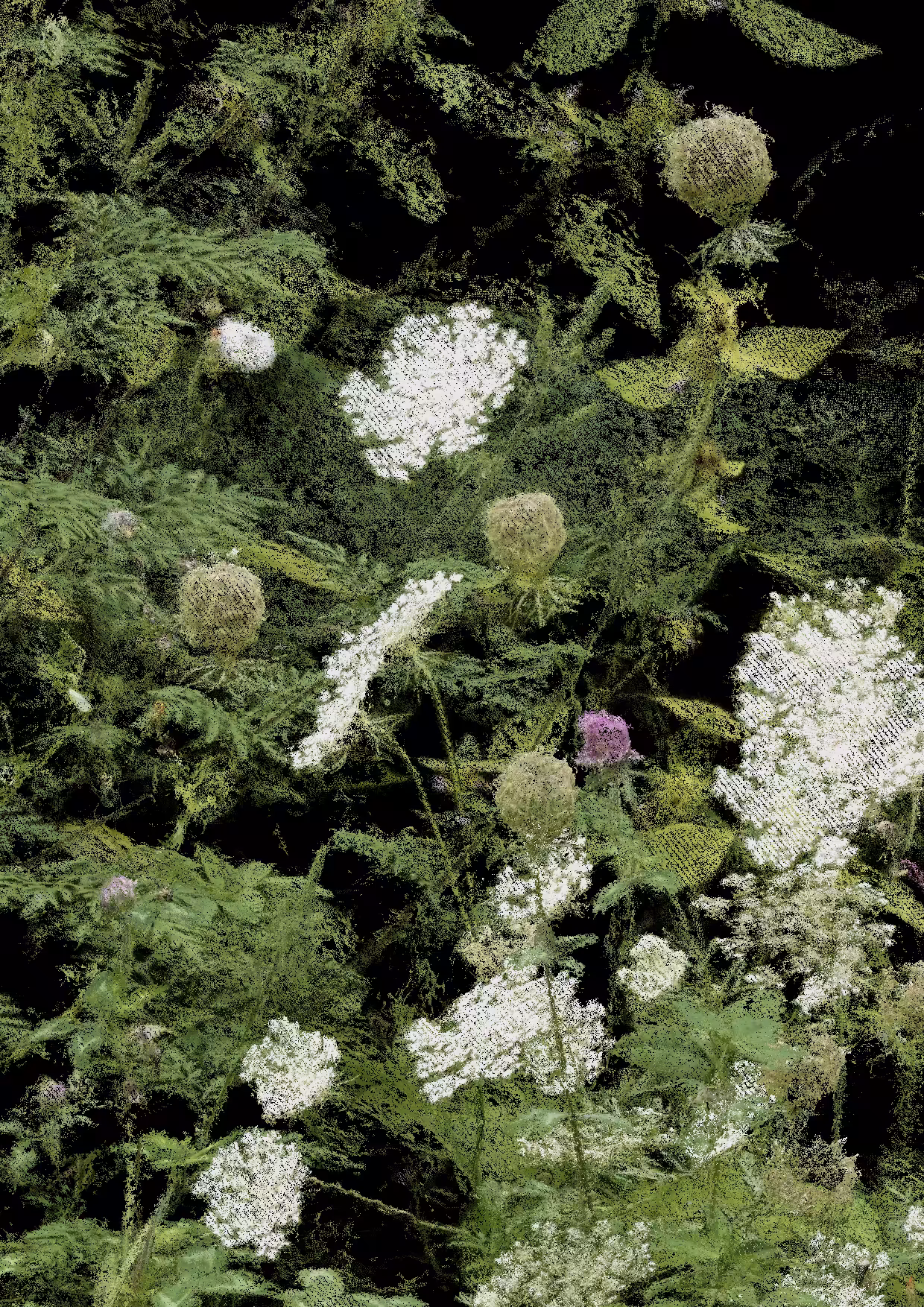 Overgrowth 0151