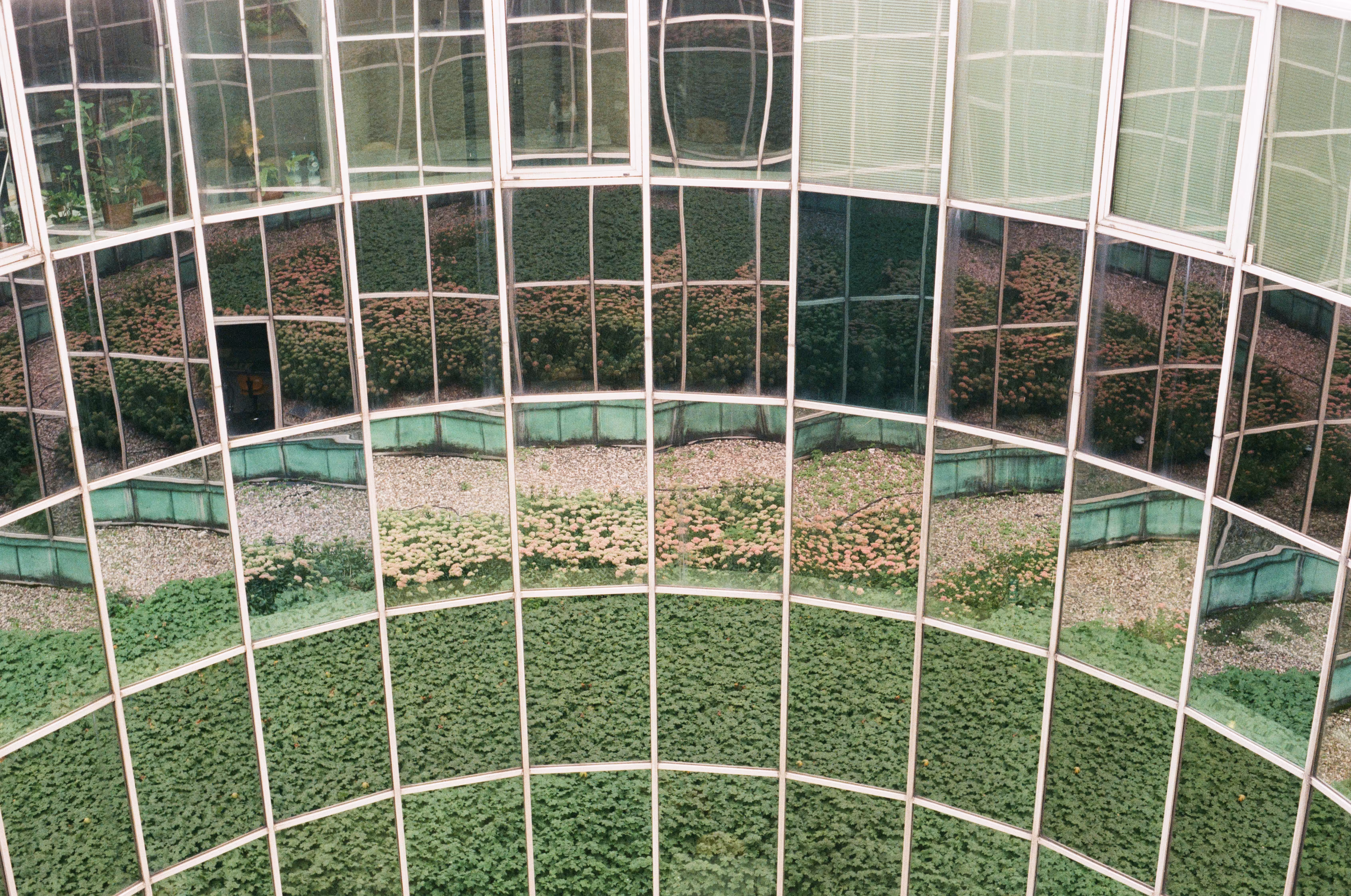 Glass tunnel