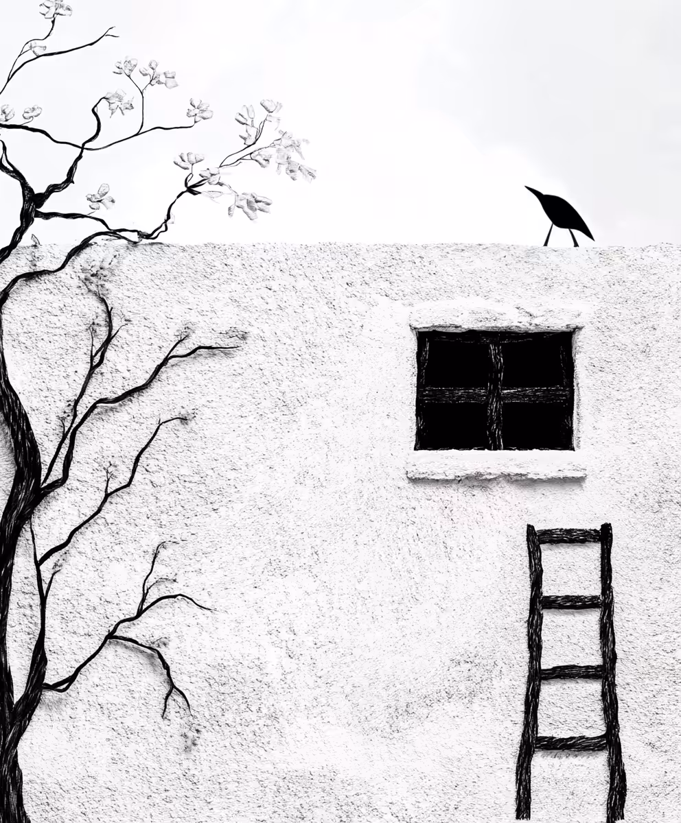 The Silent Roof