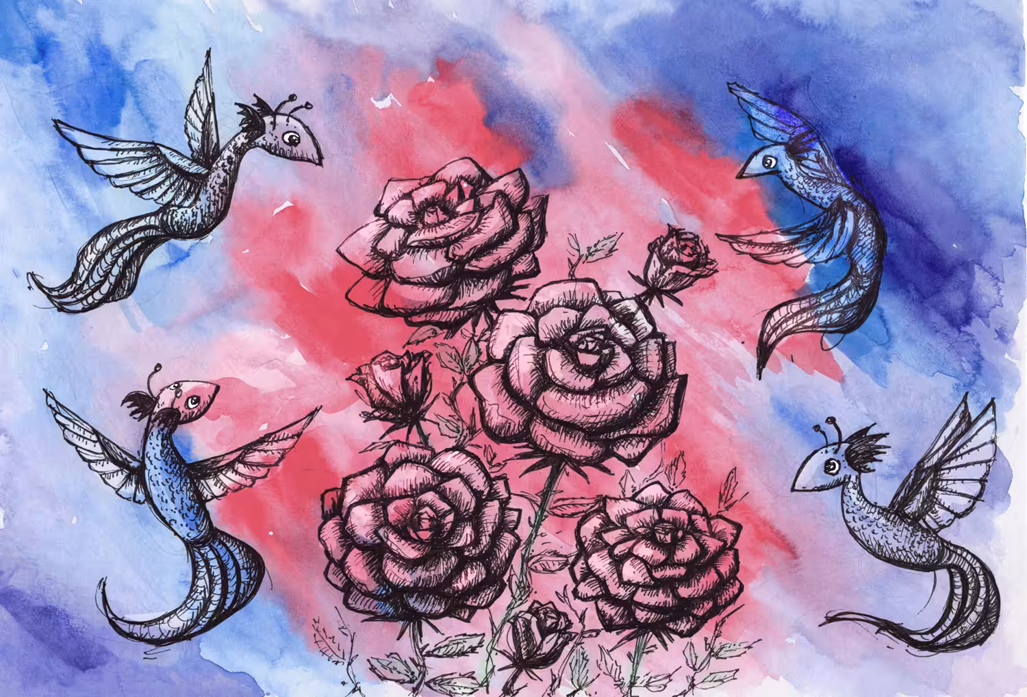 Roses & Hummingdrace