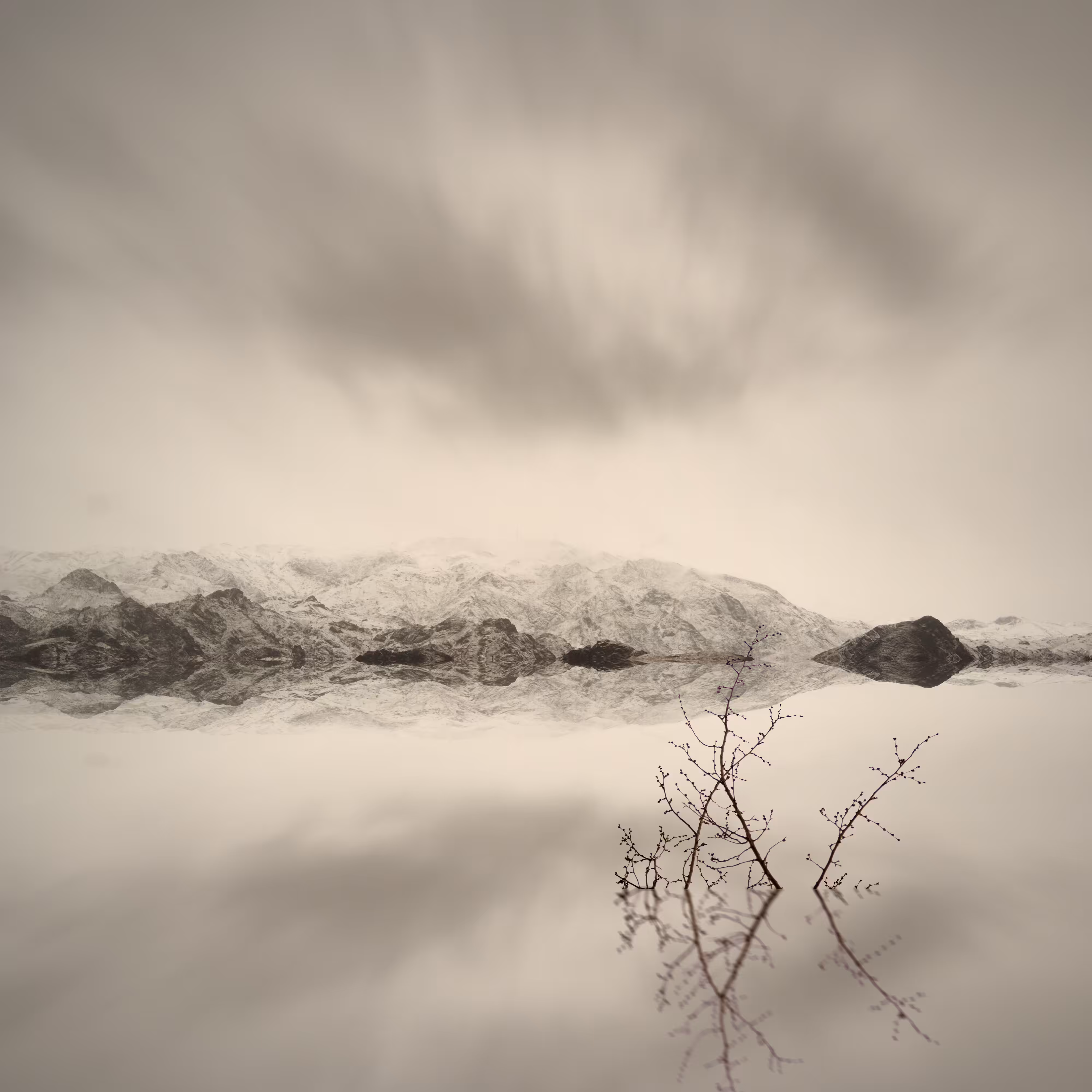 Grey Silence