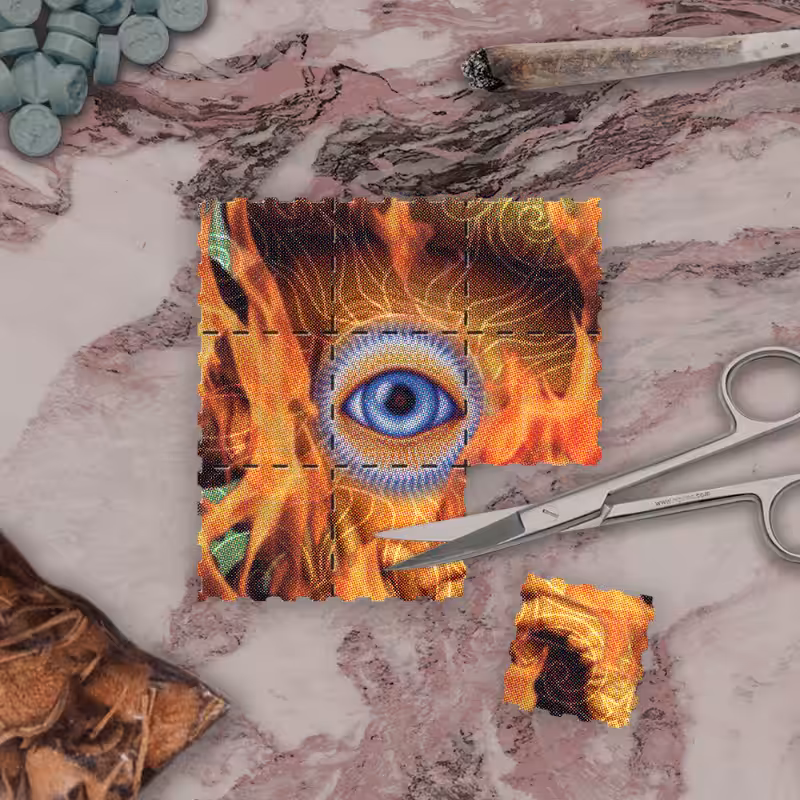 BLOTTER #99