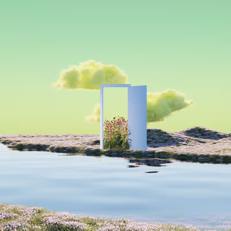 The Door #3