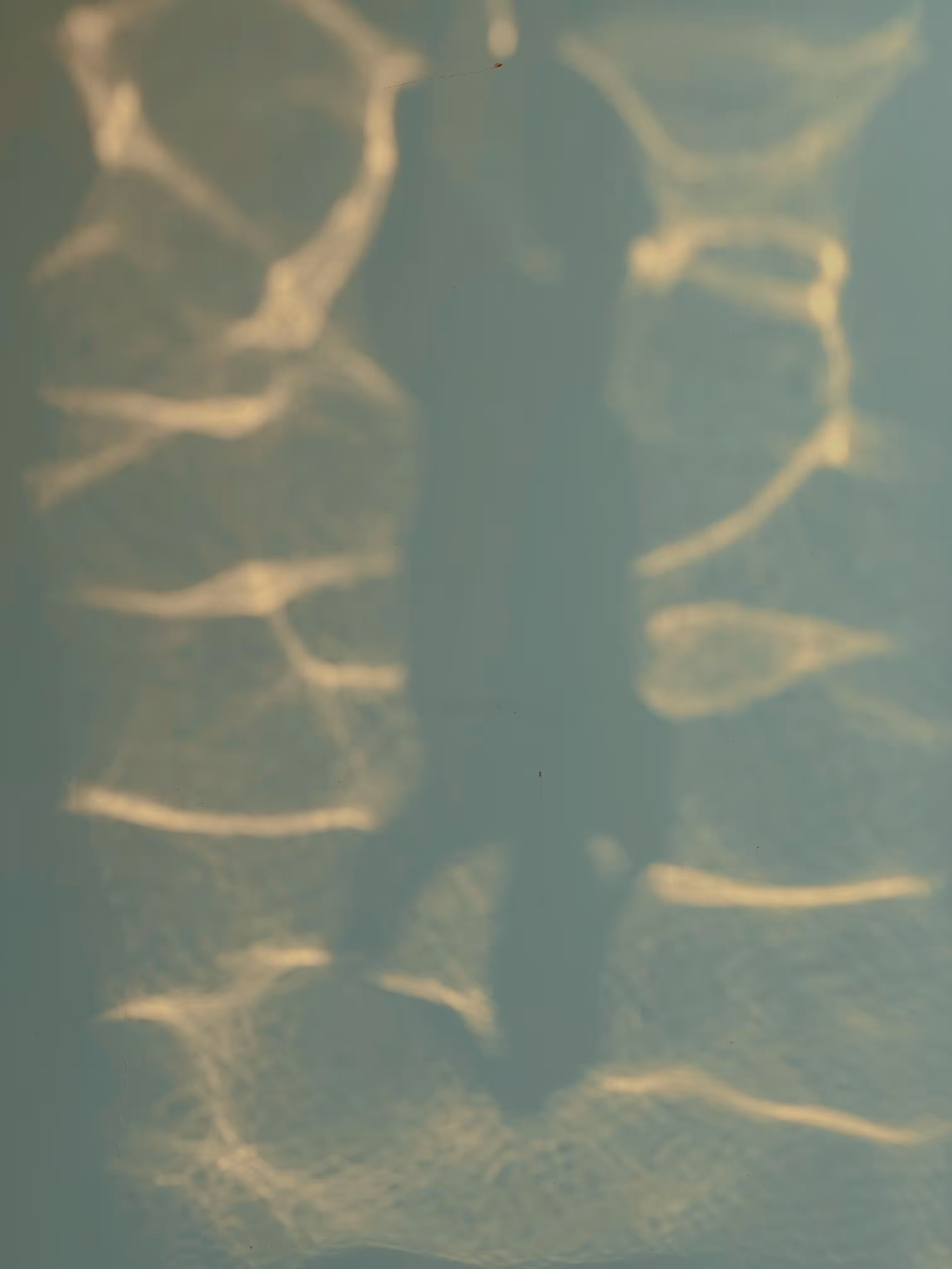 Rodeo posts: a study of reflection • er