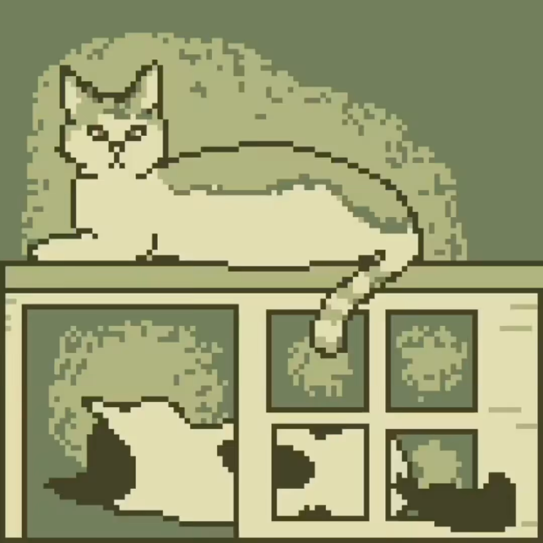 Gameboi #1 - "Timmy and Sapi"