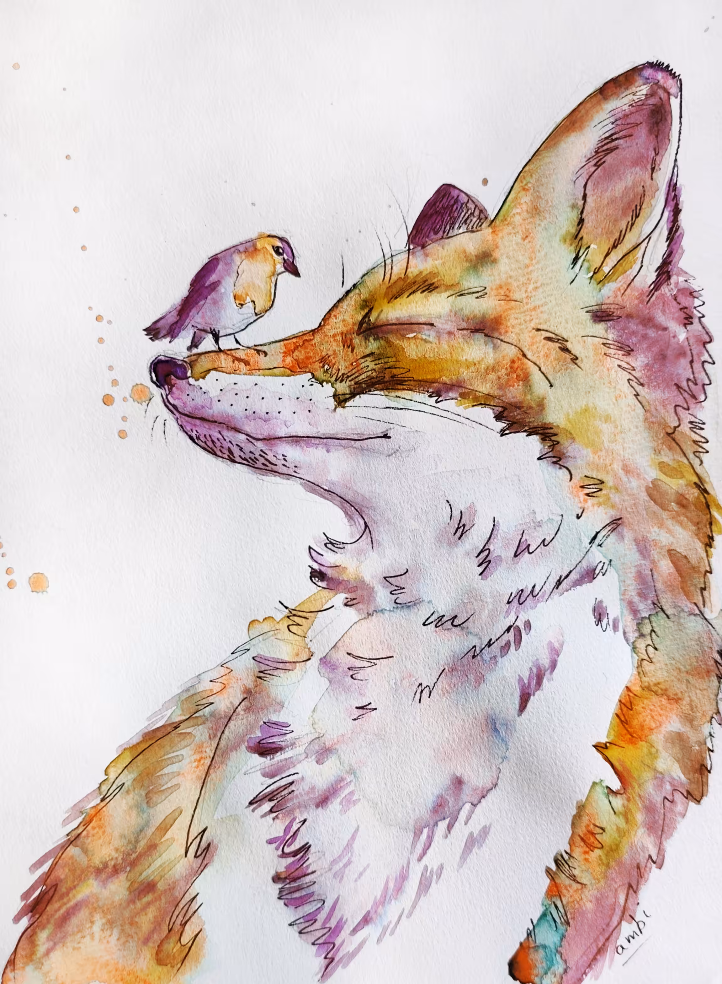 Fox and Robin