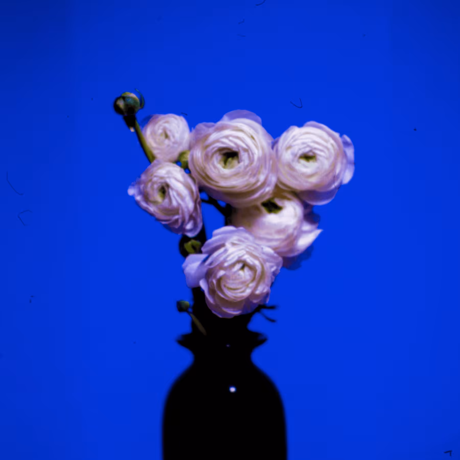 EKTACHROME BLUE