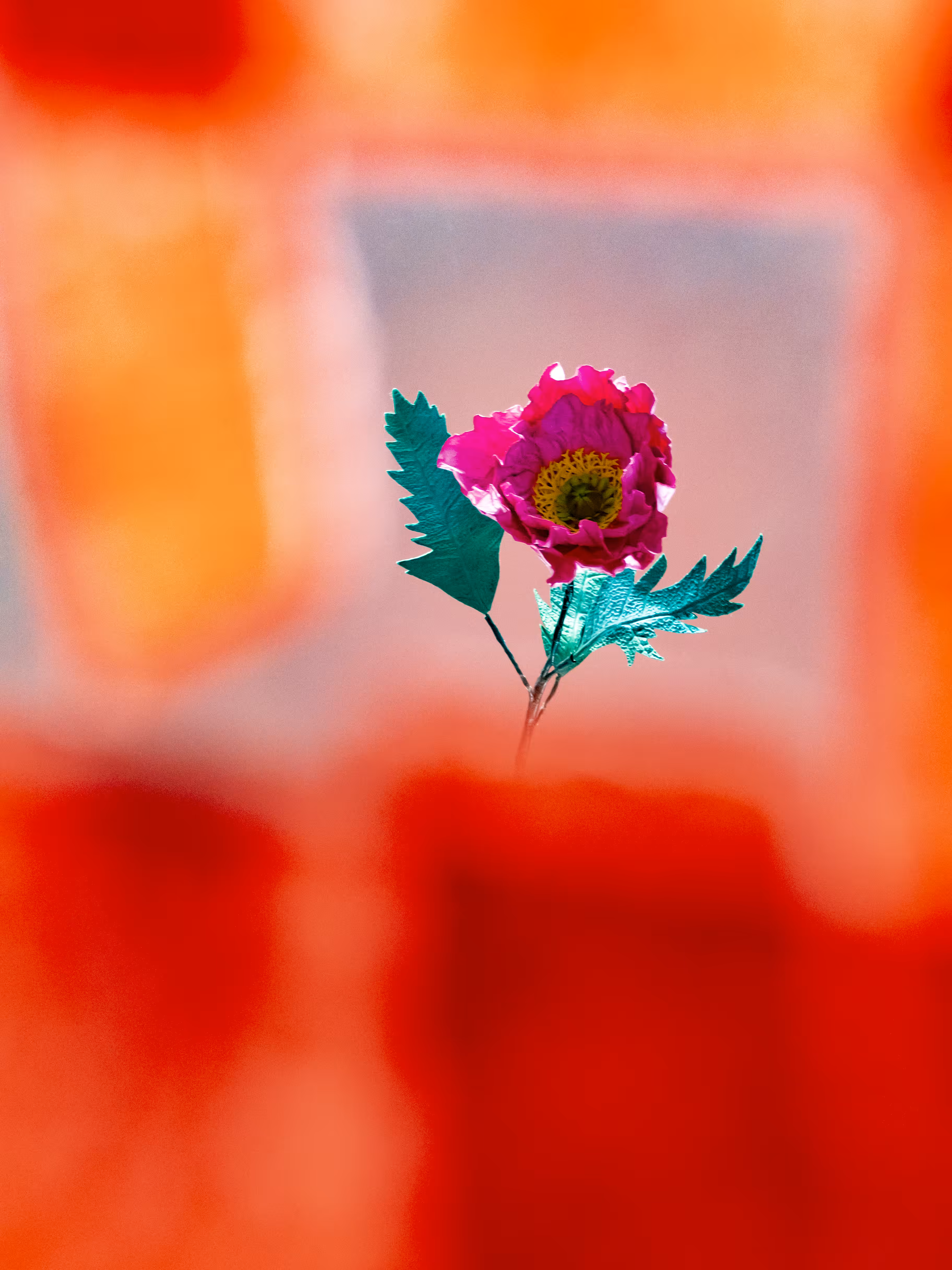 Flower.3