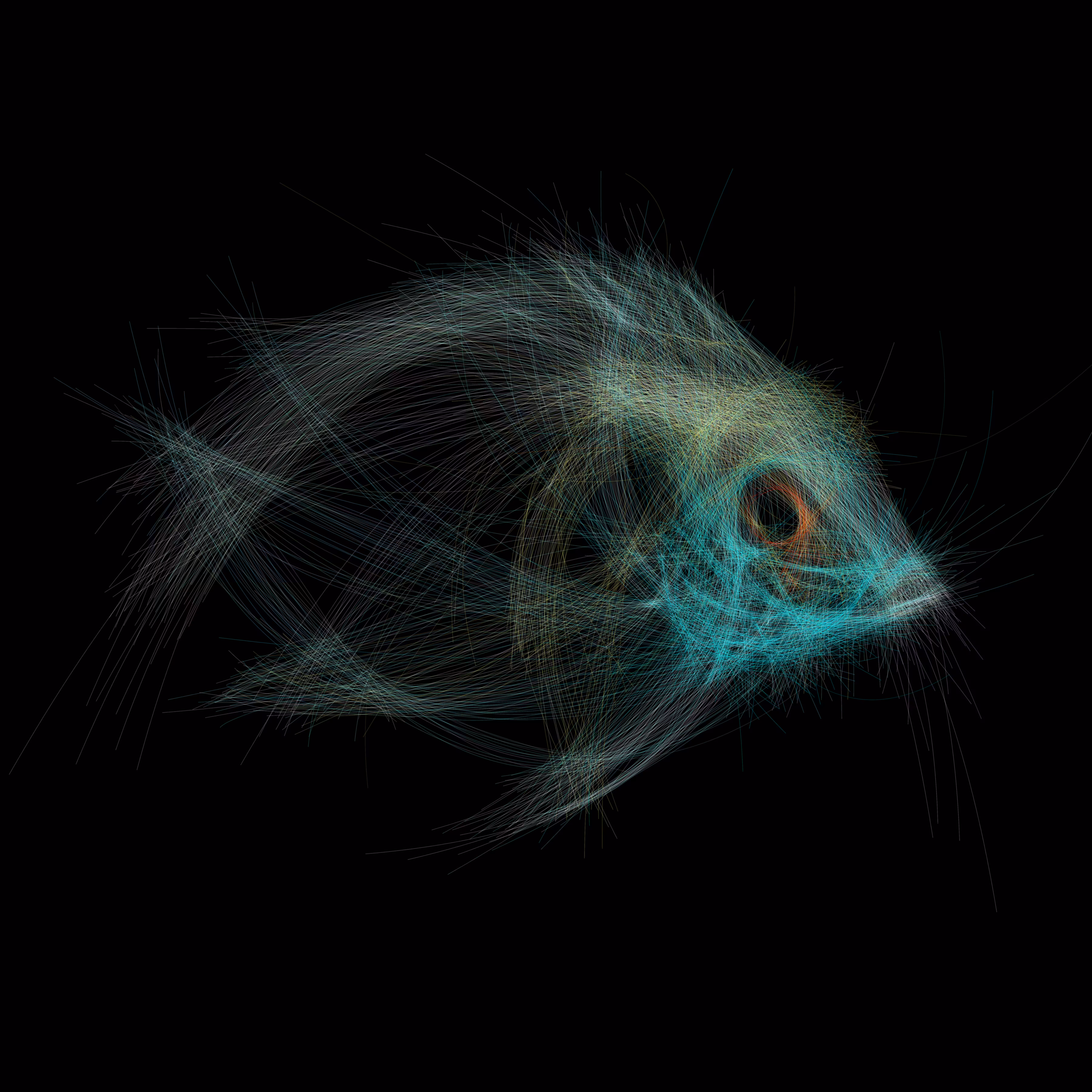 Underwater 158