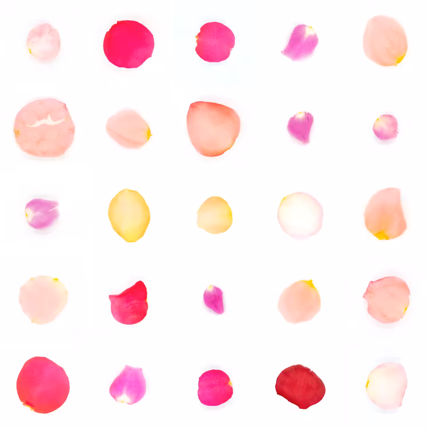 Infinite Petals 5x5#20627